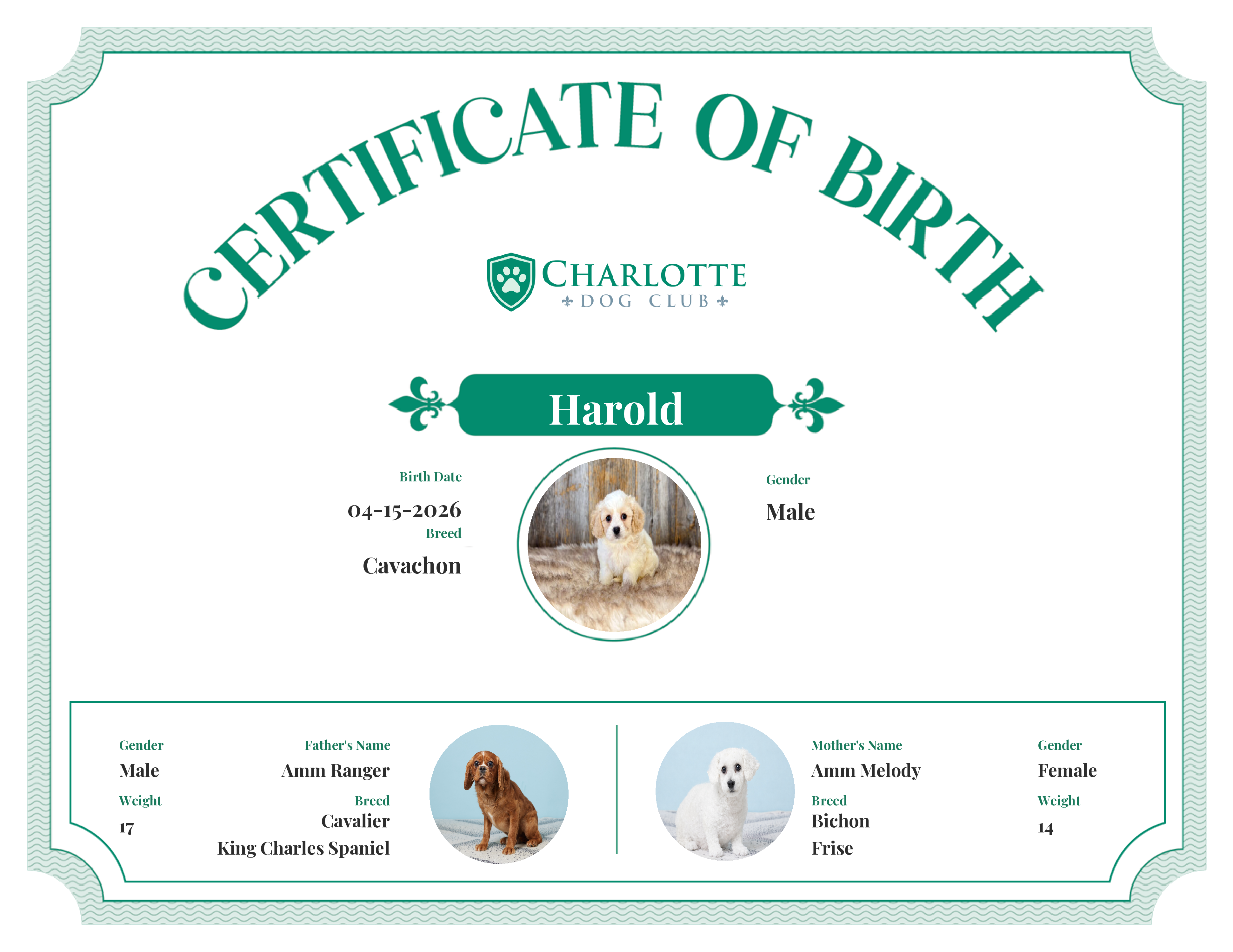 Harold's Birth Certificate