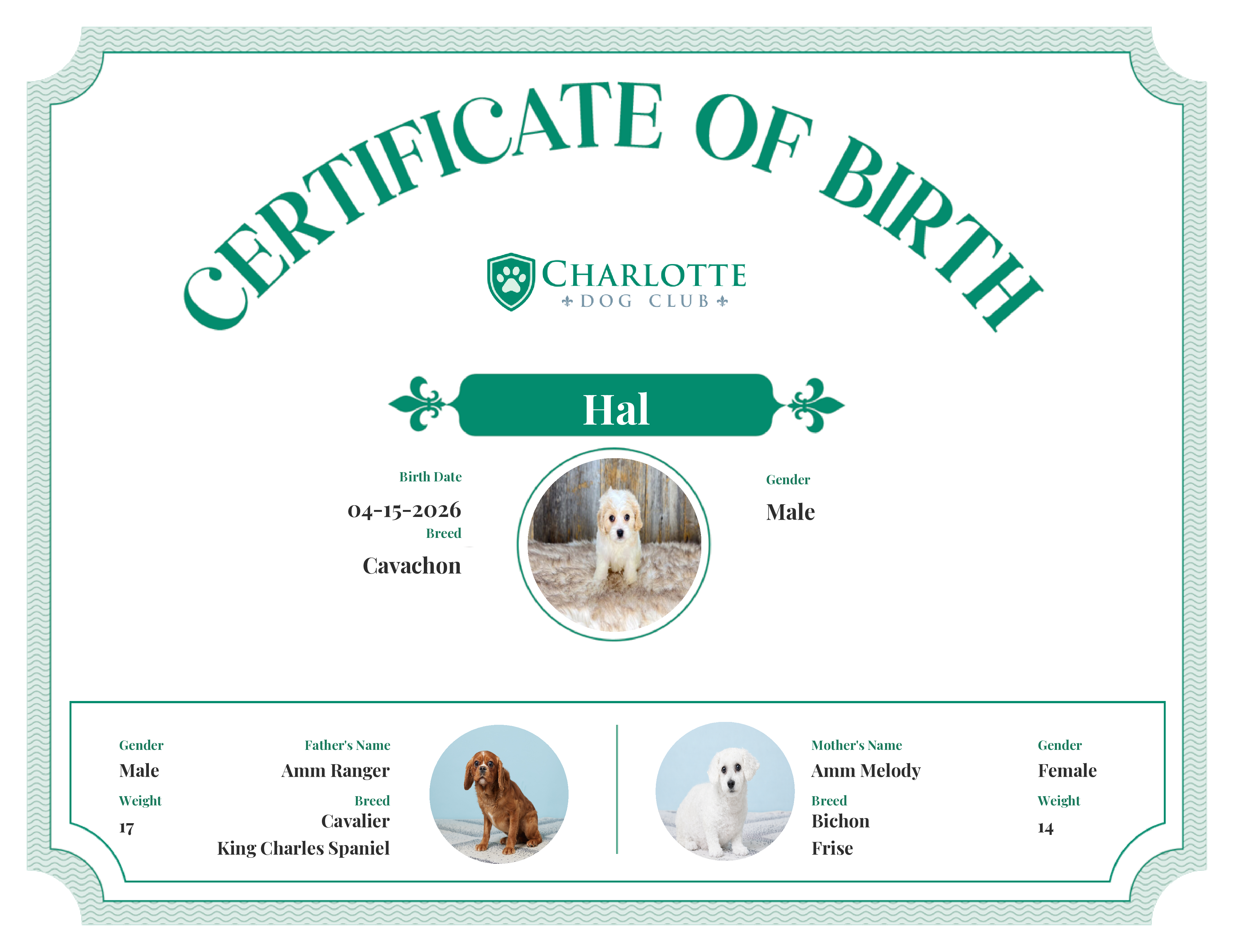 Hal's Birth Certificate
