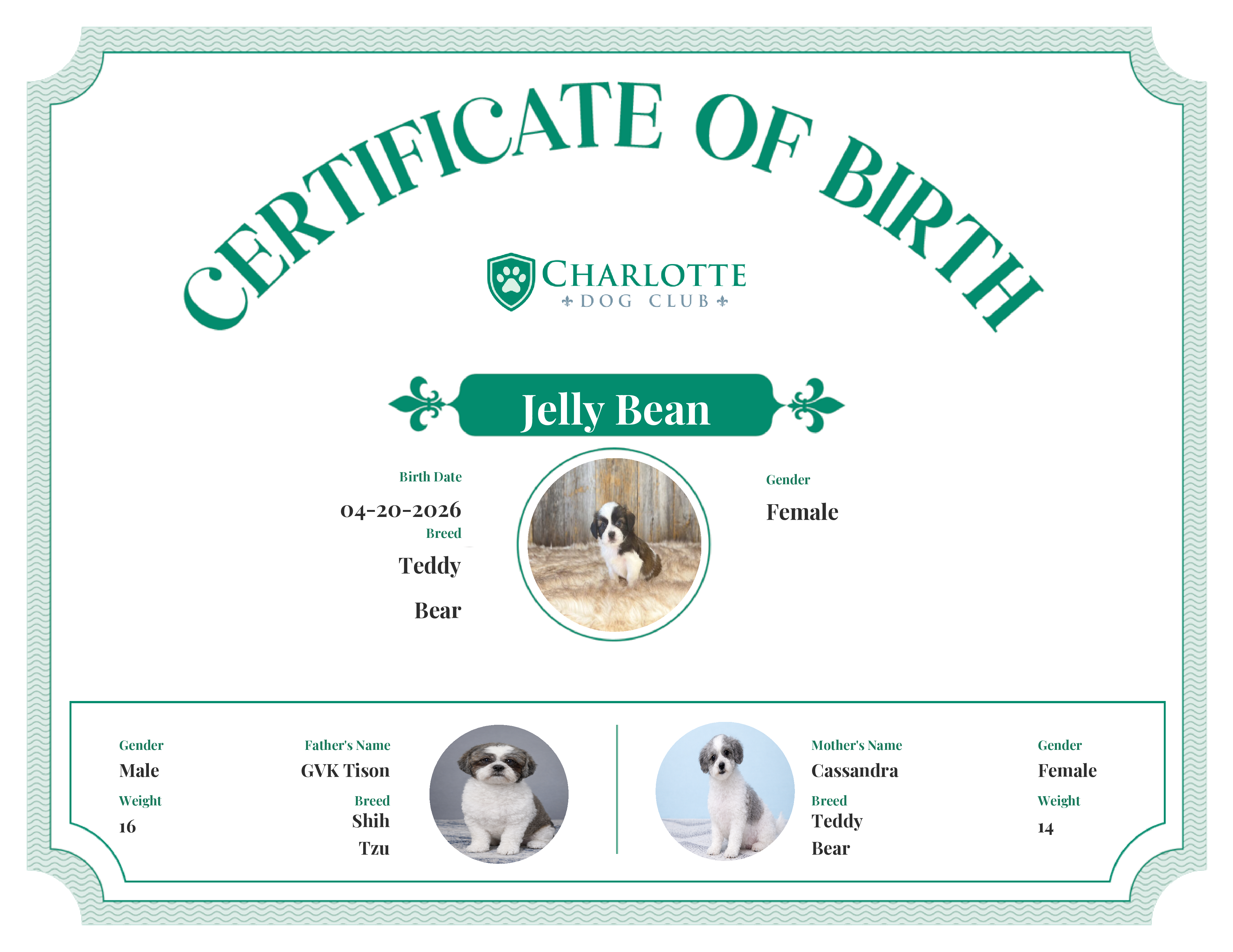 Jelly Bean's Birth Certificate