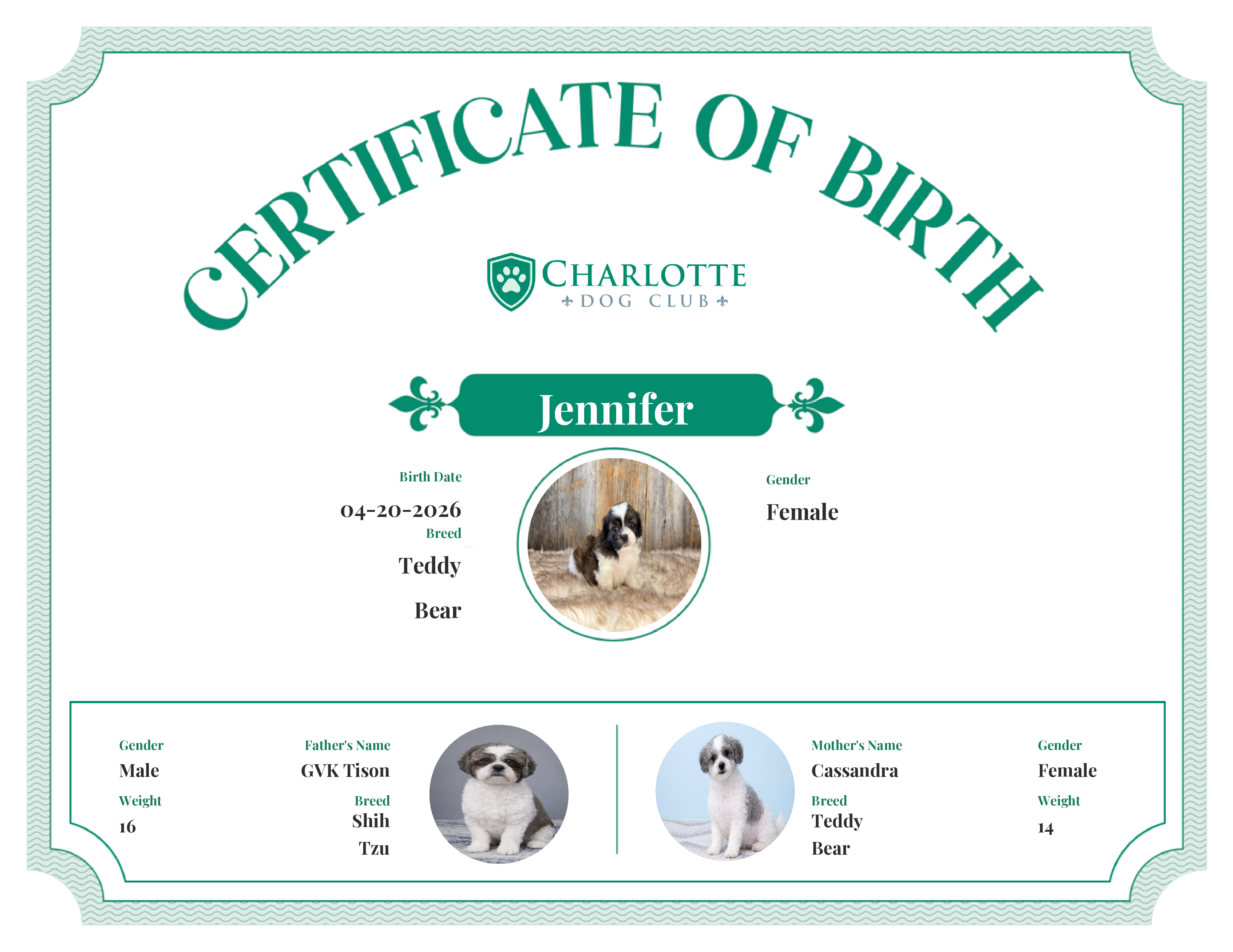 Jennifer's Birth Certificate
