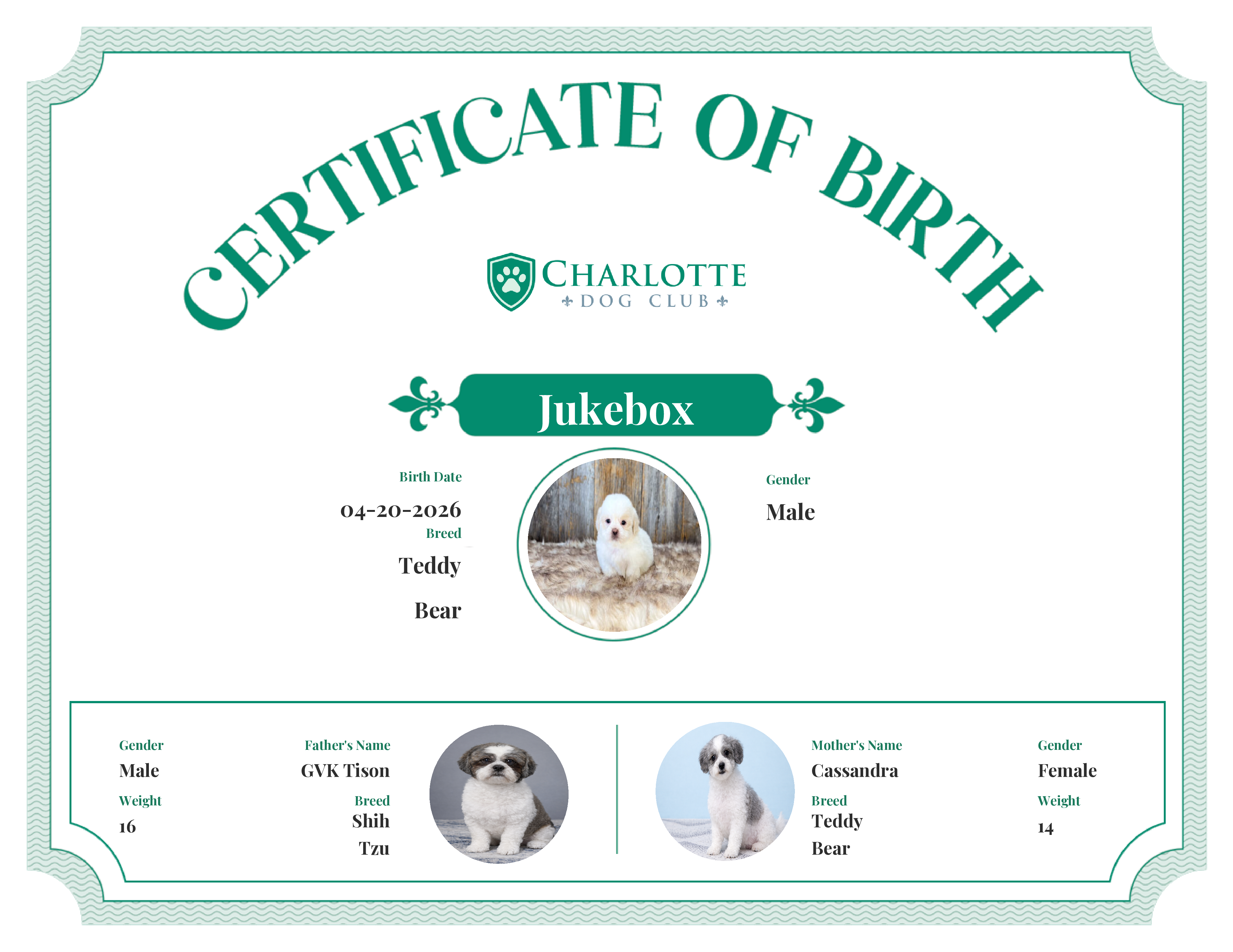 Jukebox's Birth Certificate