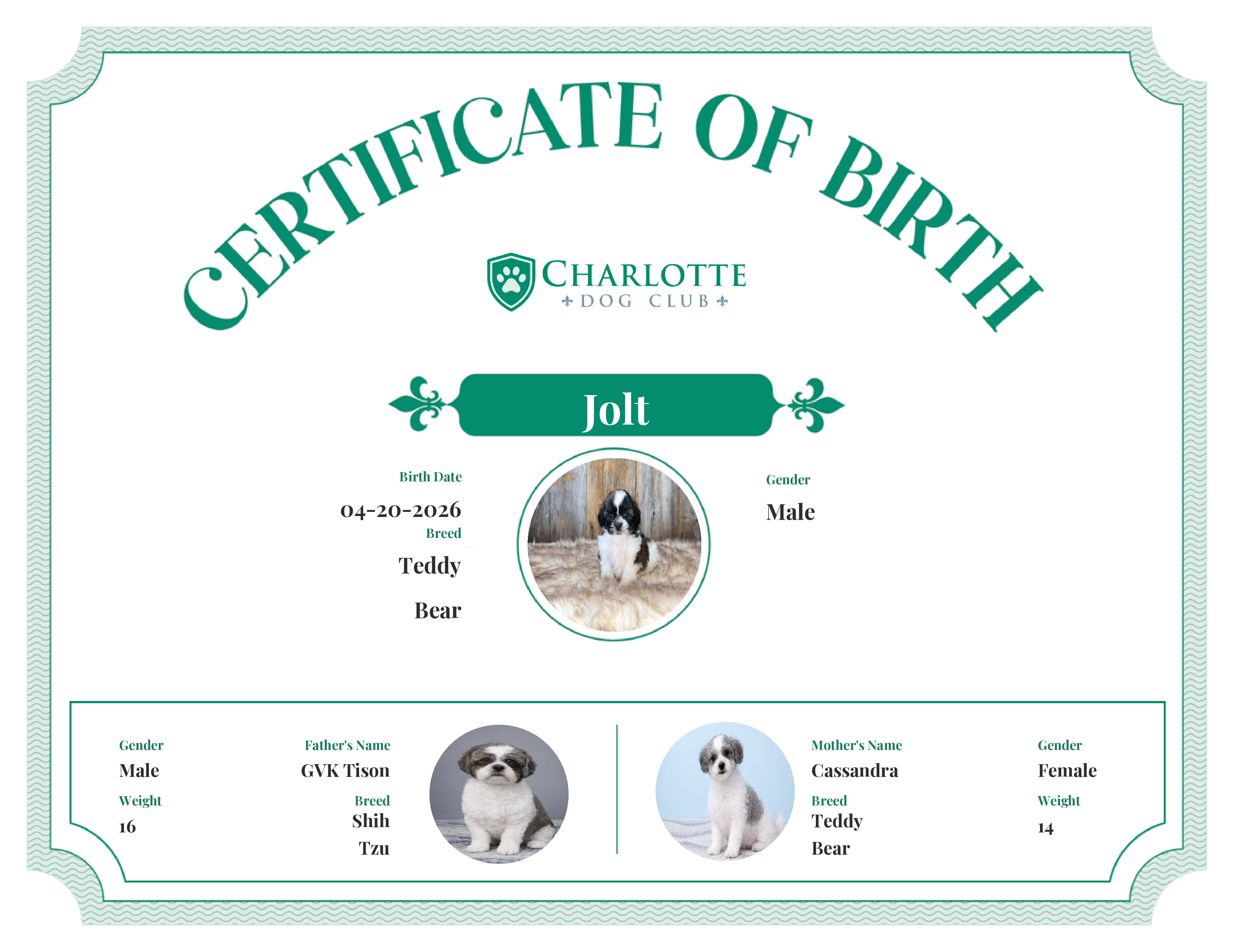 Jolt's Birth Certificate