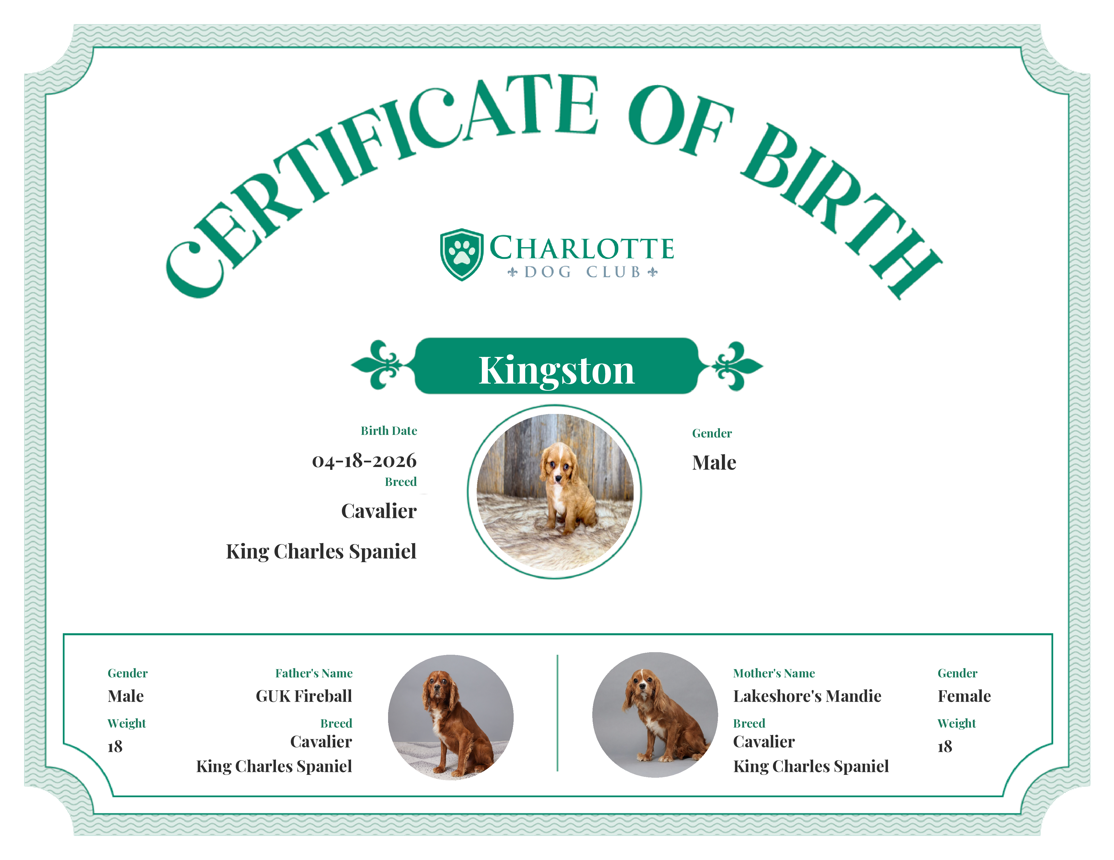 Kingston's Birth Certificate