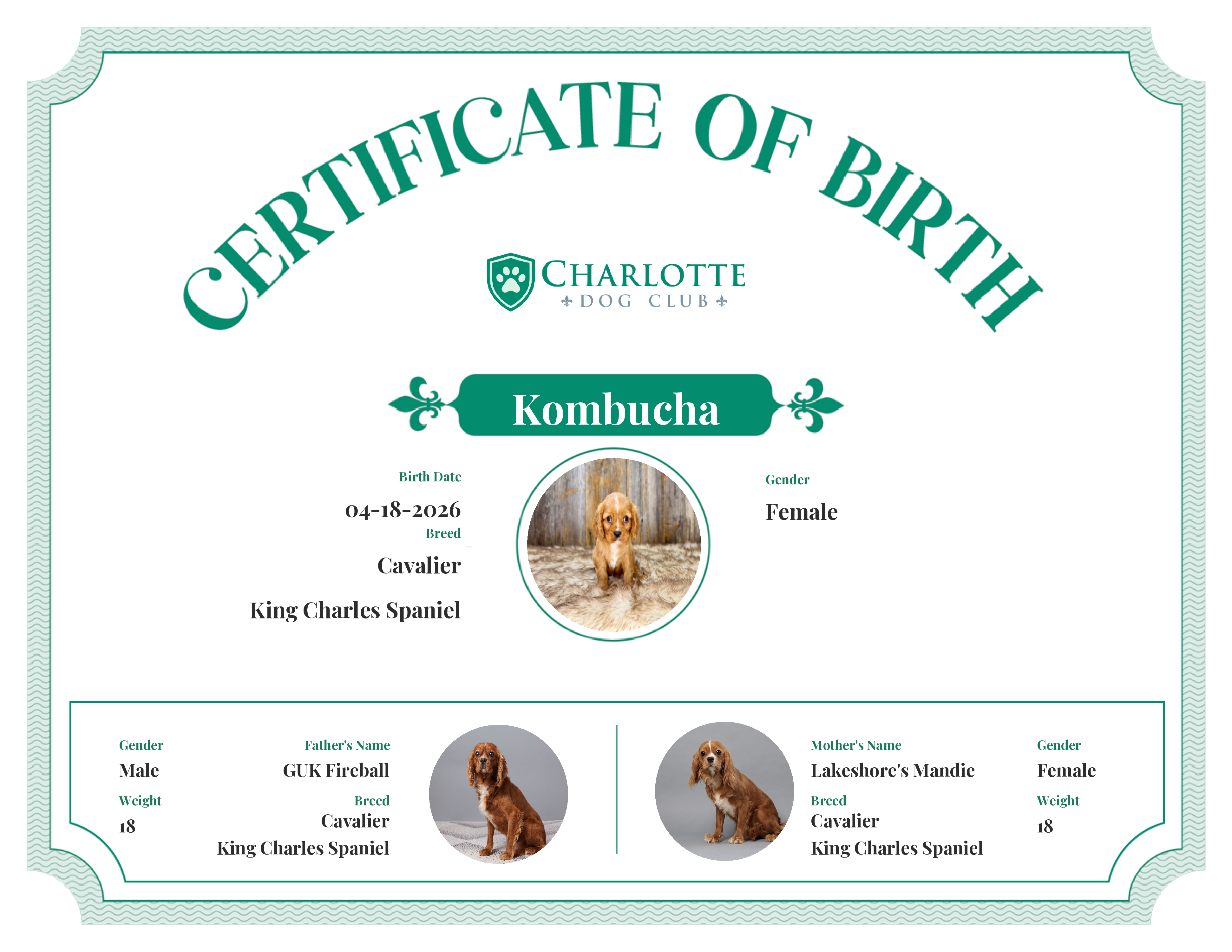 Kombucha's Birth Certificate