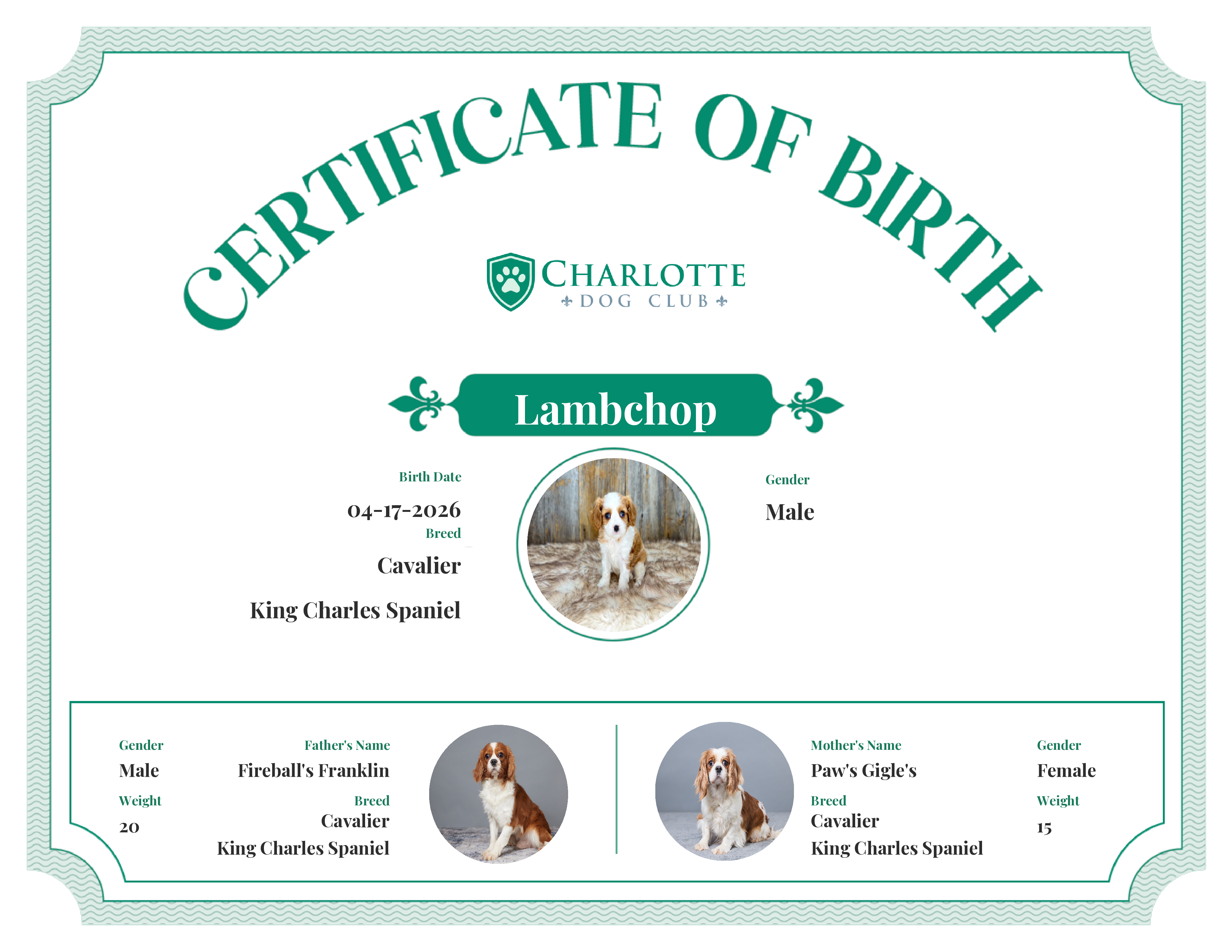 Lambchop's Birth Certificate