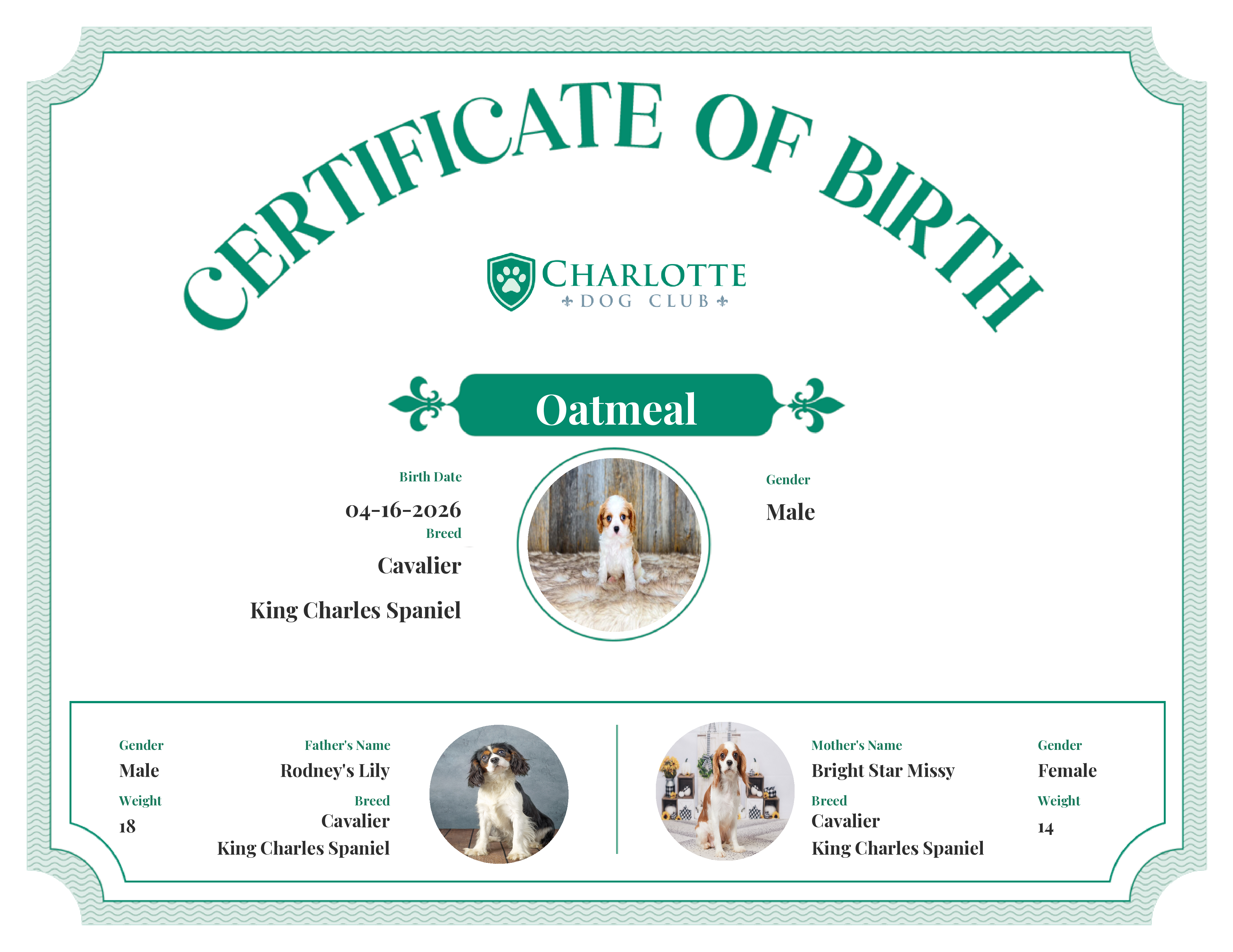 Oatmeal's Birth Certificate