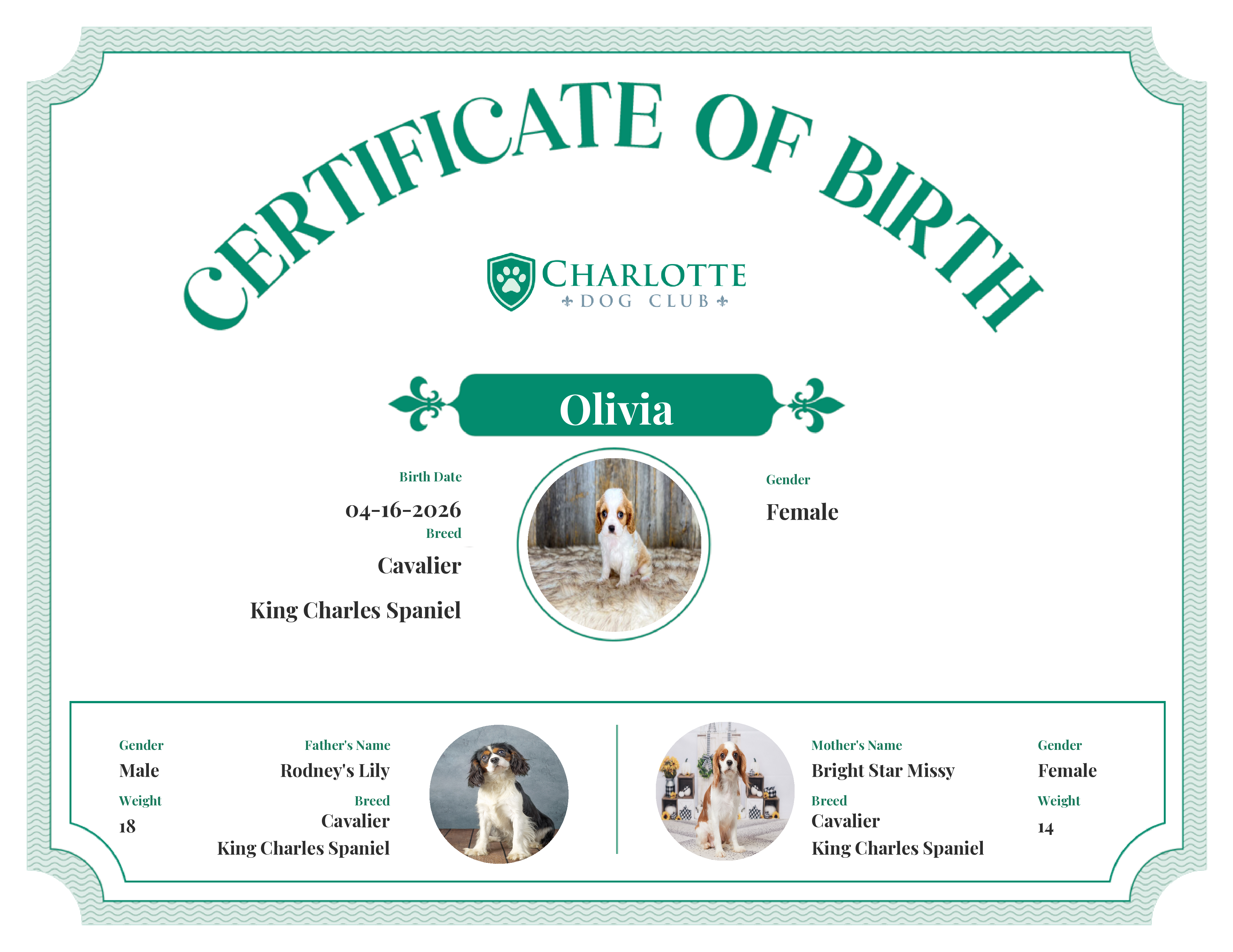 Olivia's Birth Certificate