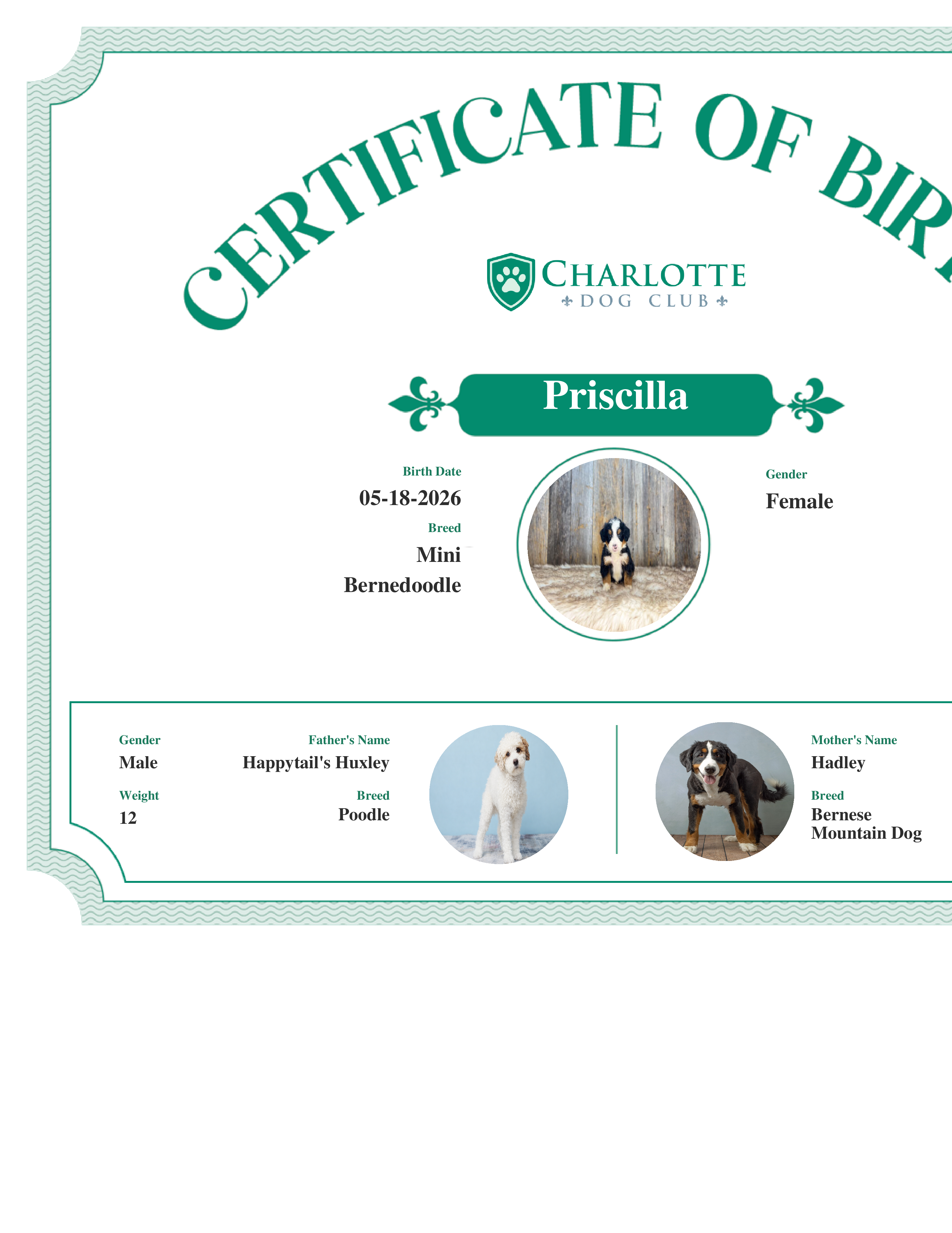 Priscilla's Birth Certificate