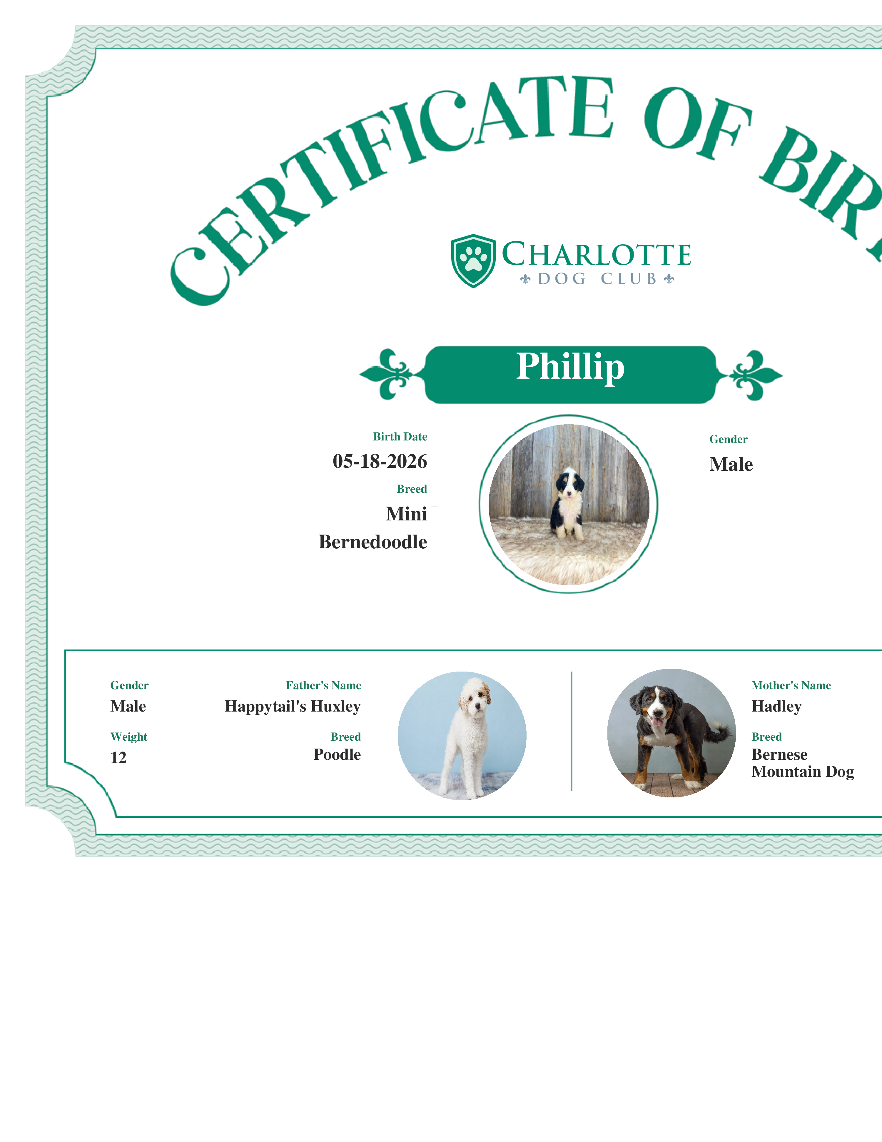 Phillip's Birth Certificate