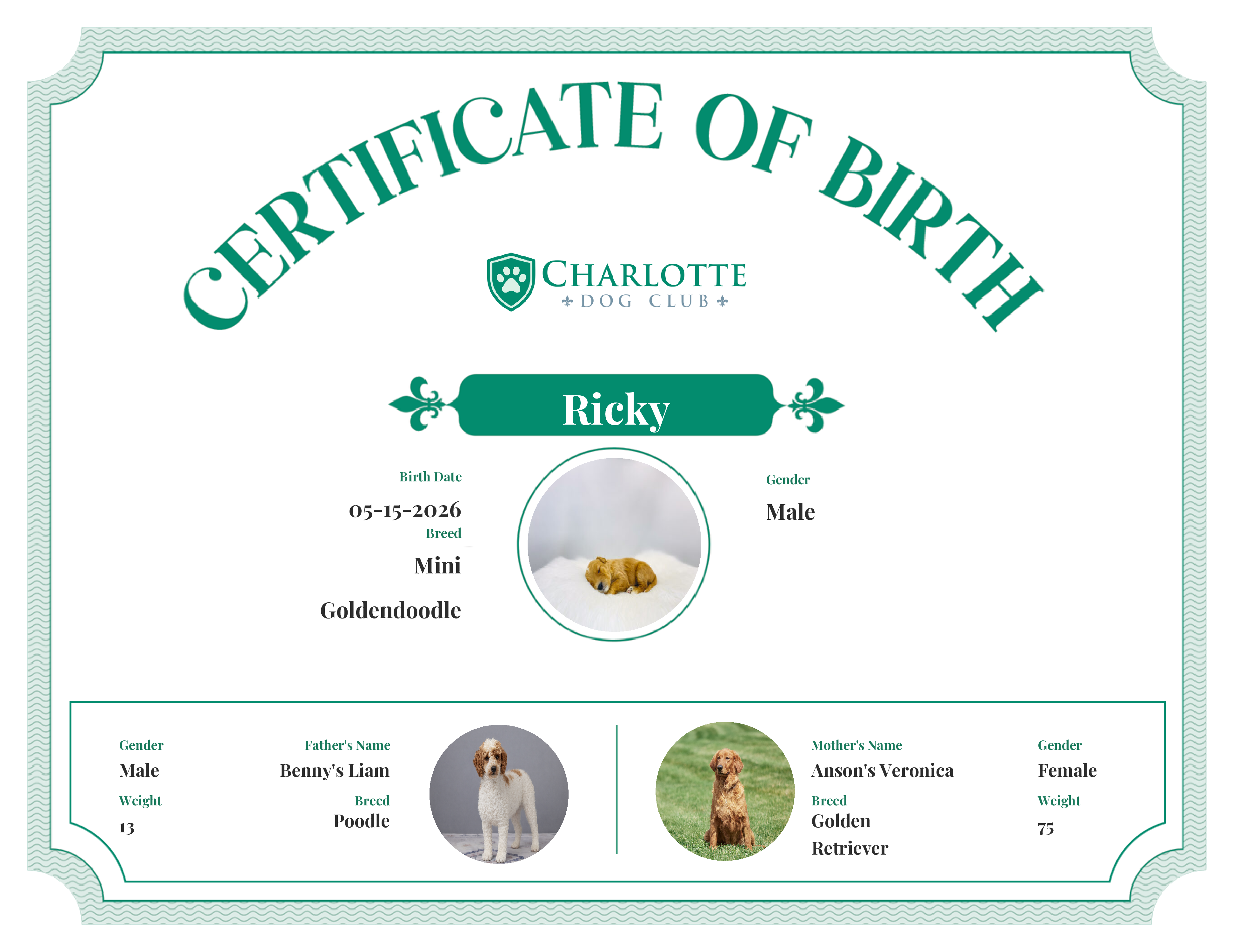 Ricky's Birth Certificate