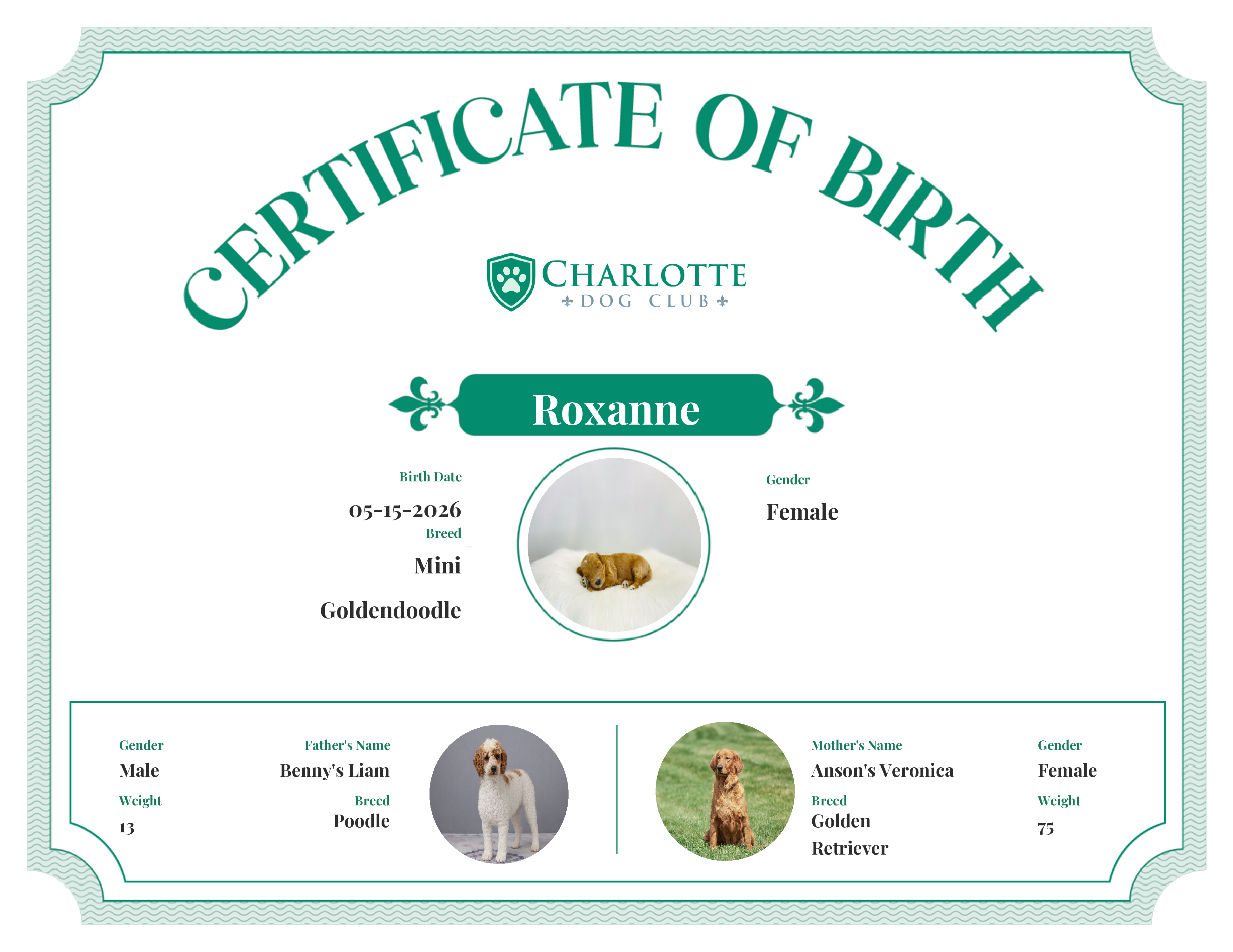 Roxanne's Birth Certificate