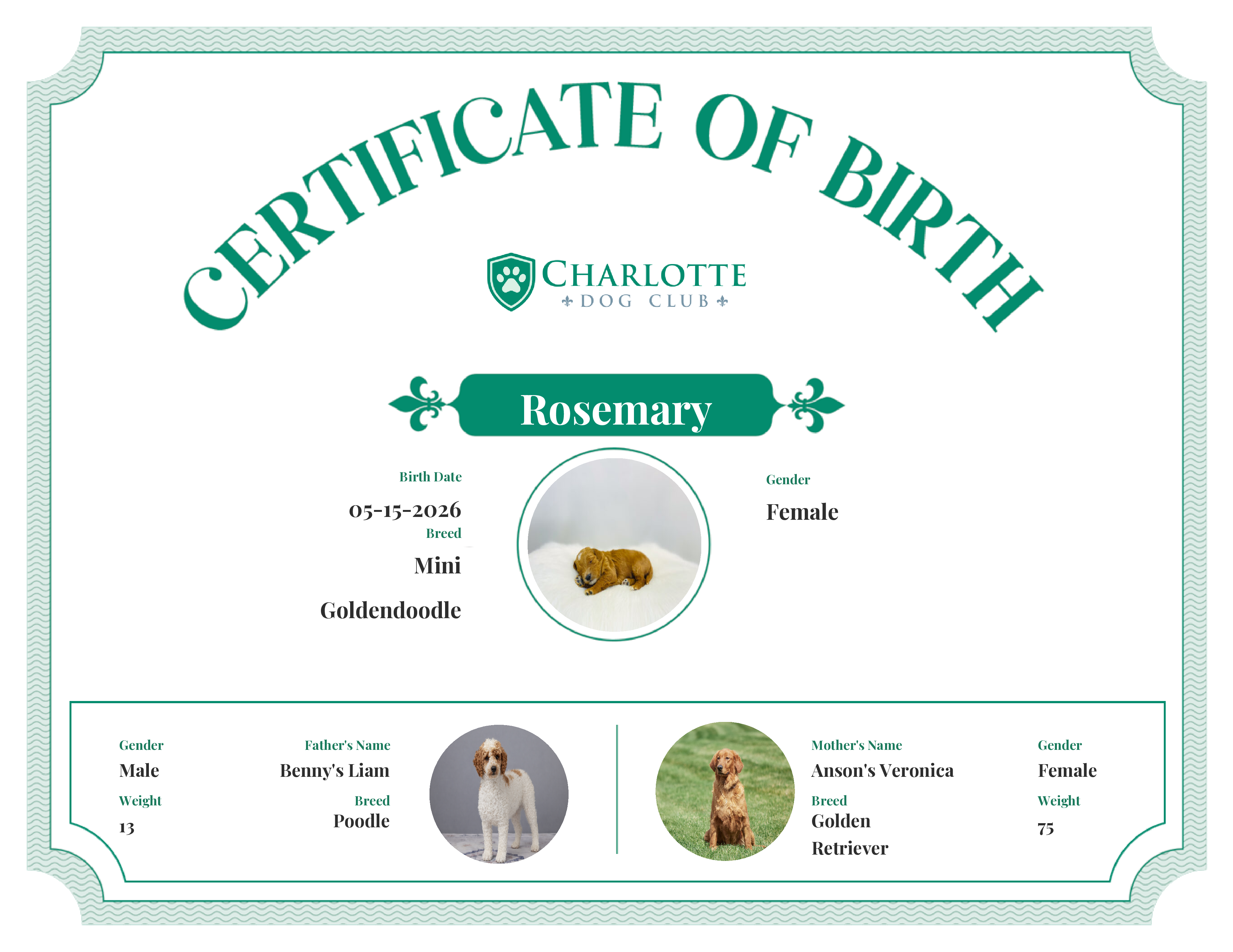 Rosemary's Birth Certificate