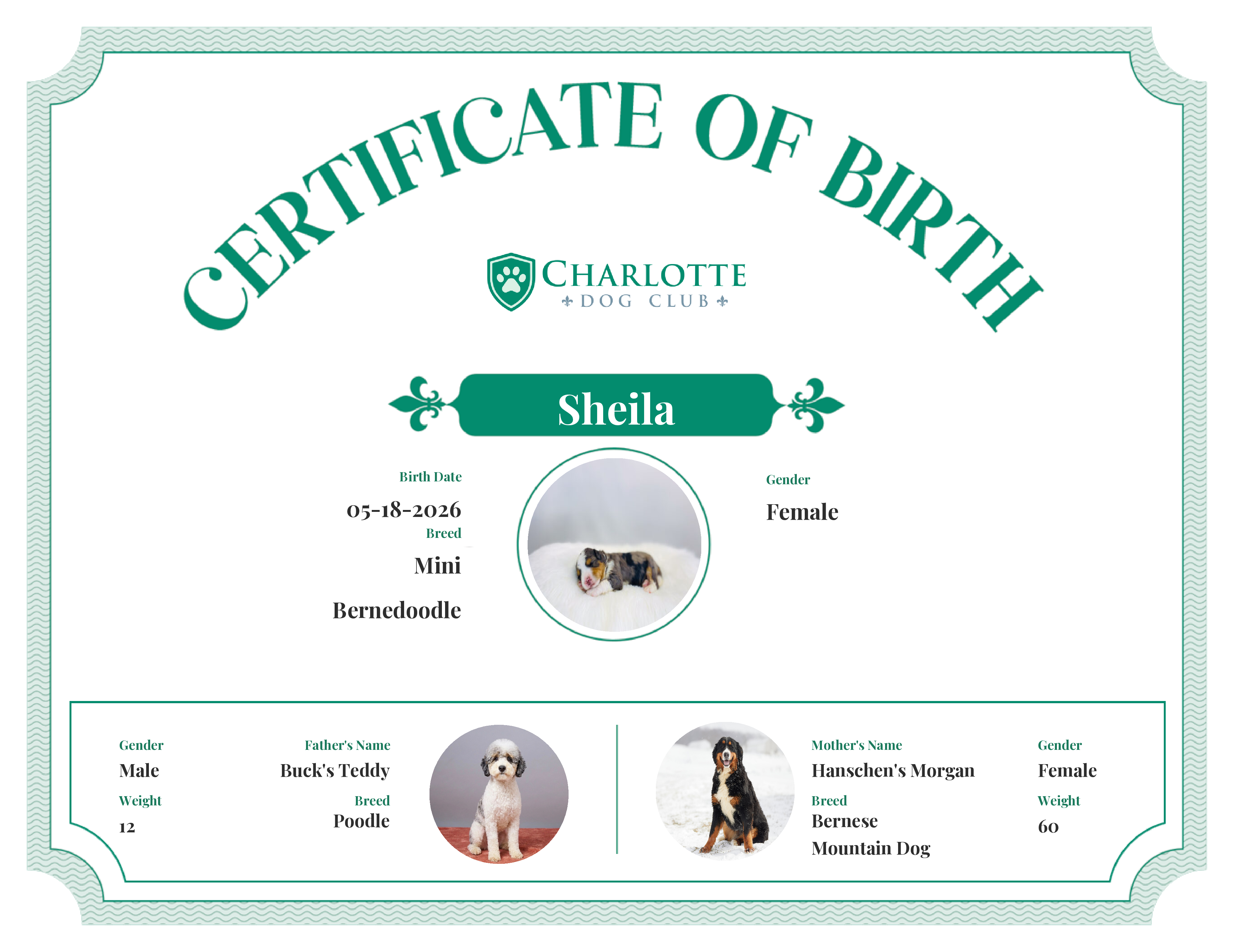 Sheila's Birth Certificate