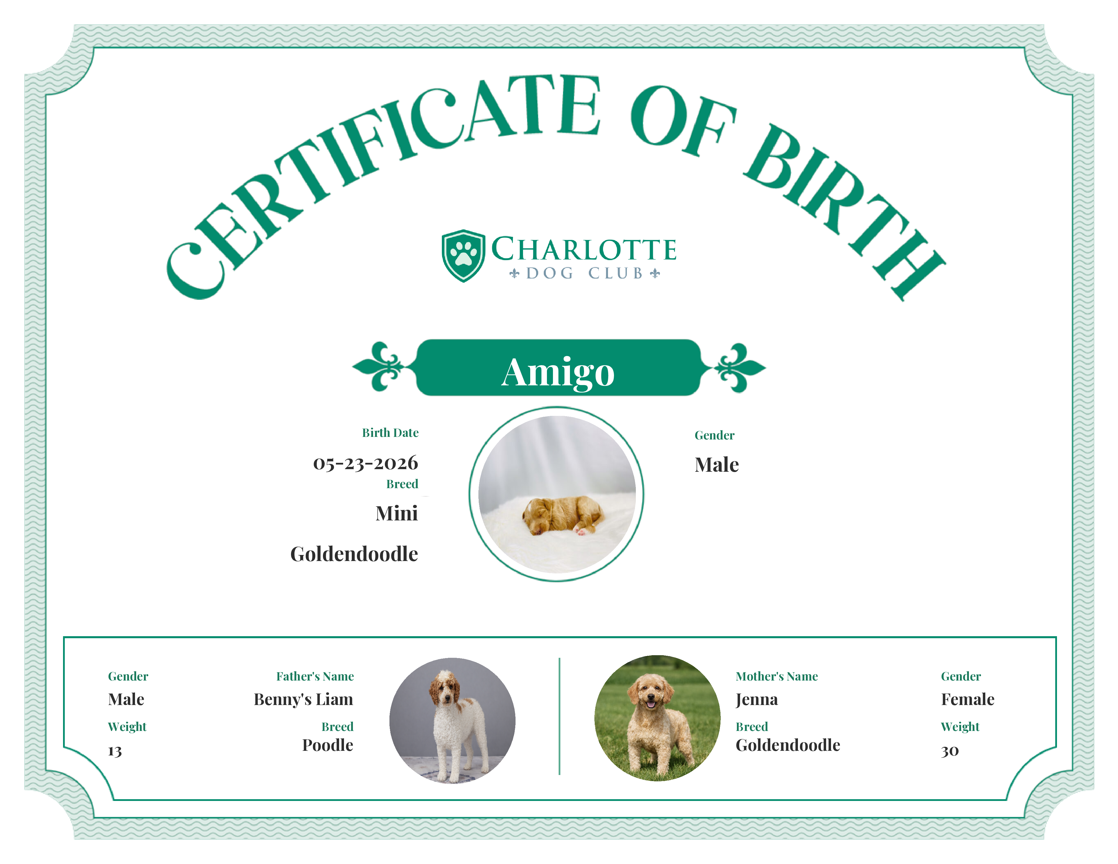 Amigo's Birth Certificate