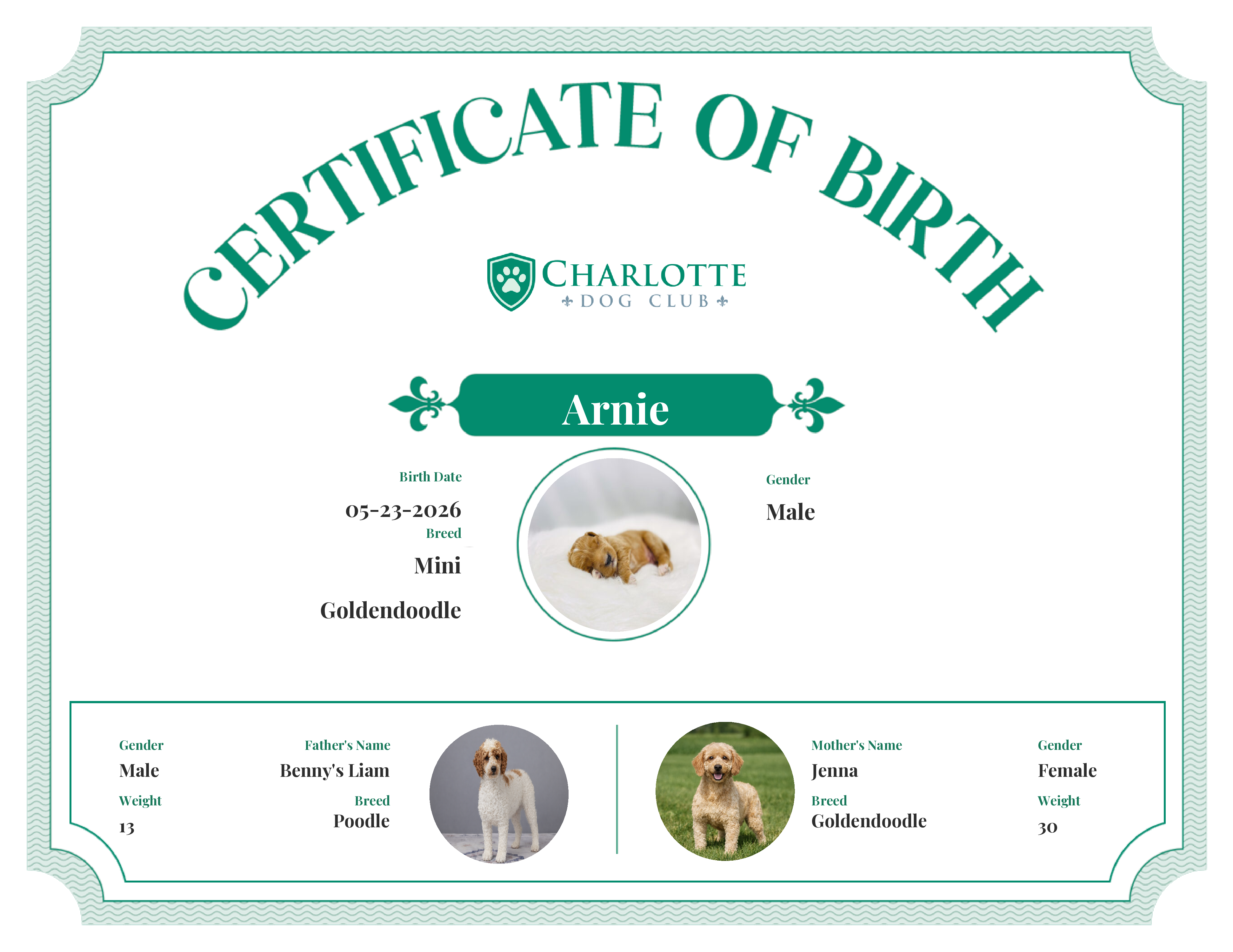 Arnie's Birth Certificate