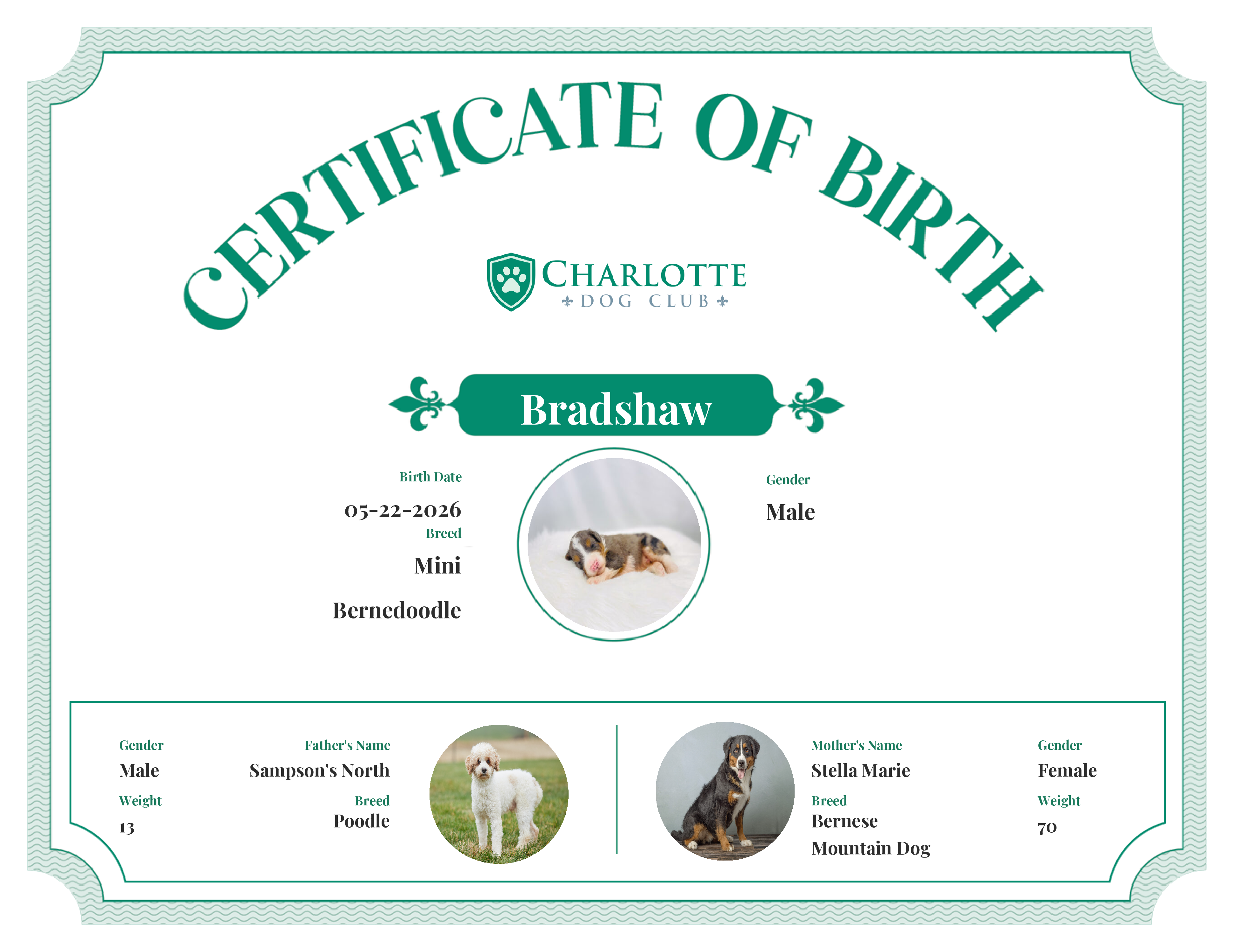 Bradshaw's Birth Certificate