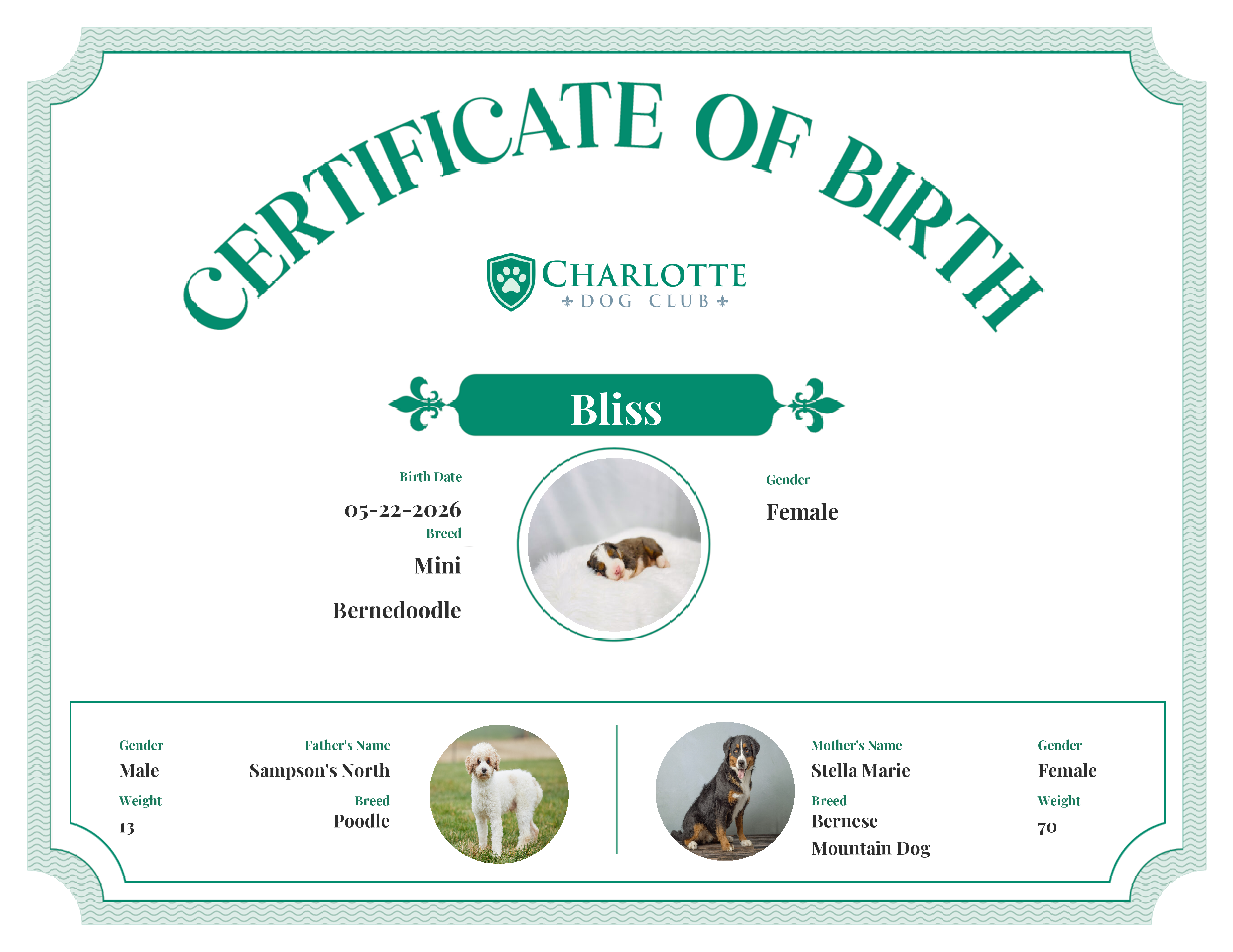 Bliss's Birth Certificate