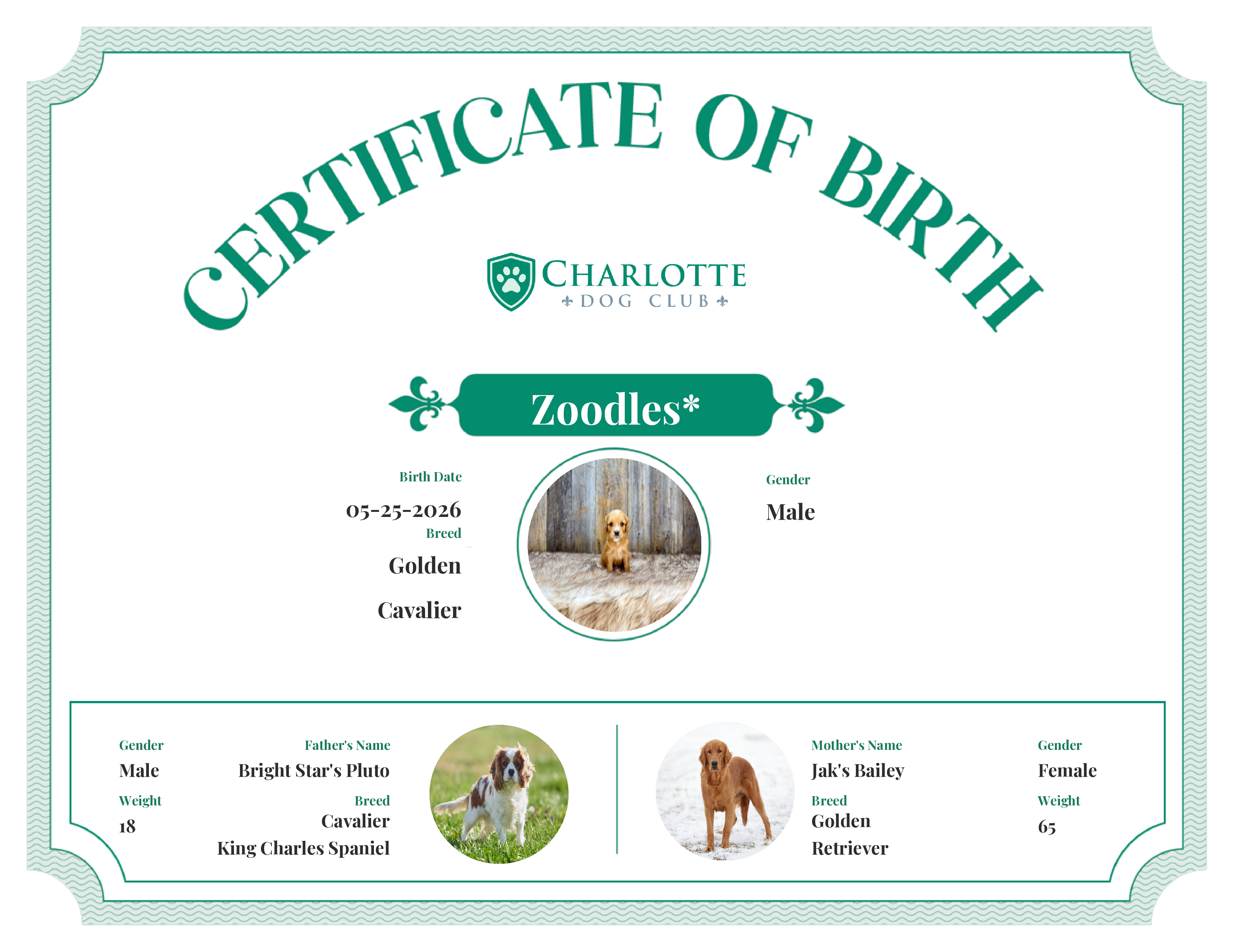Zoodles*'s Birth Certificate