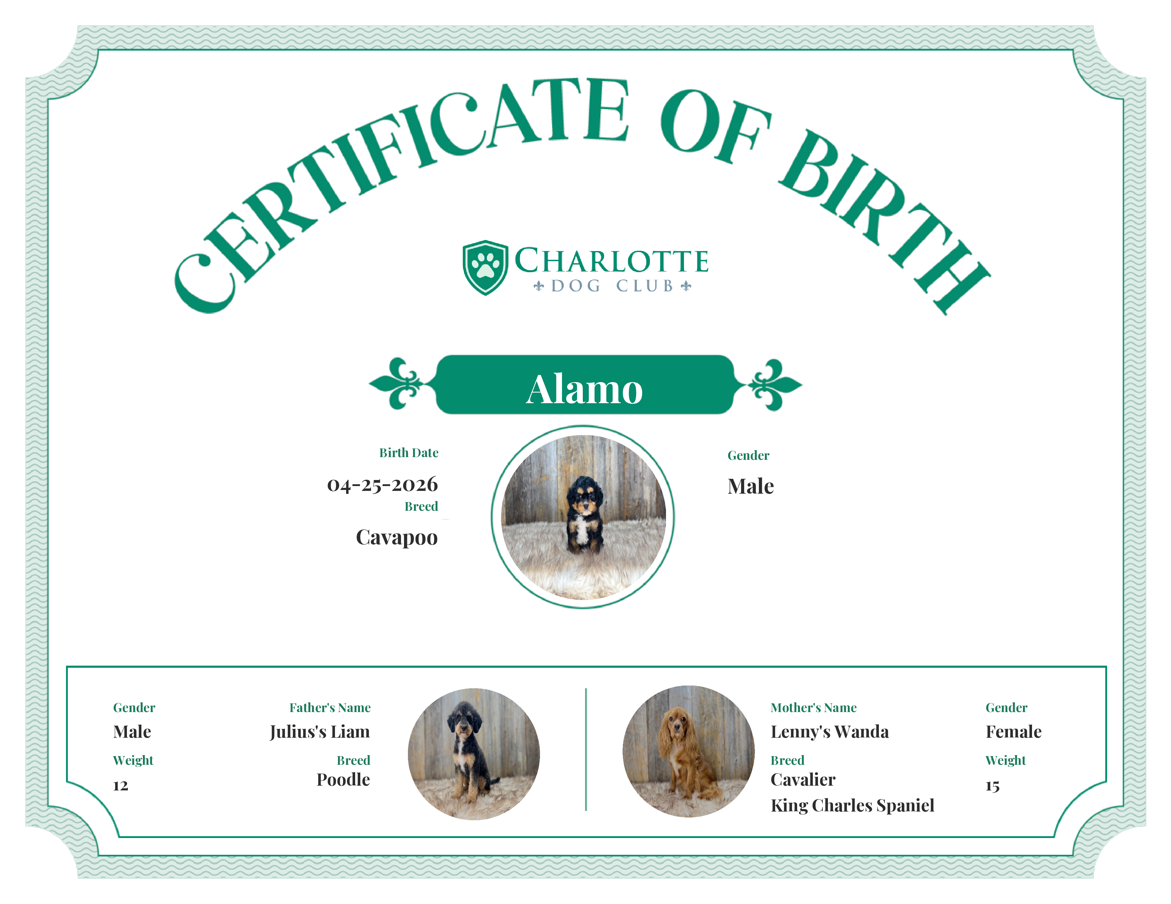 Alamo's Birth Certificate