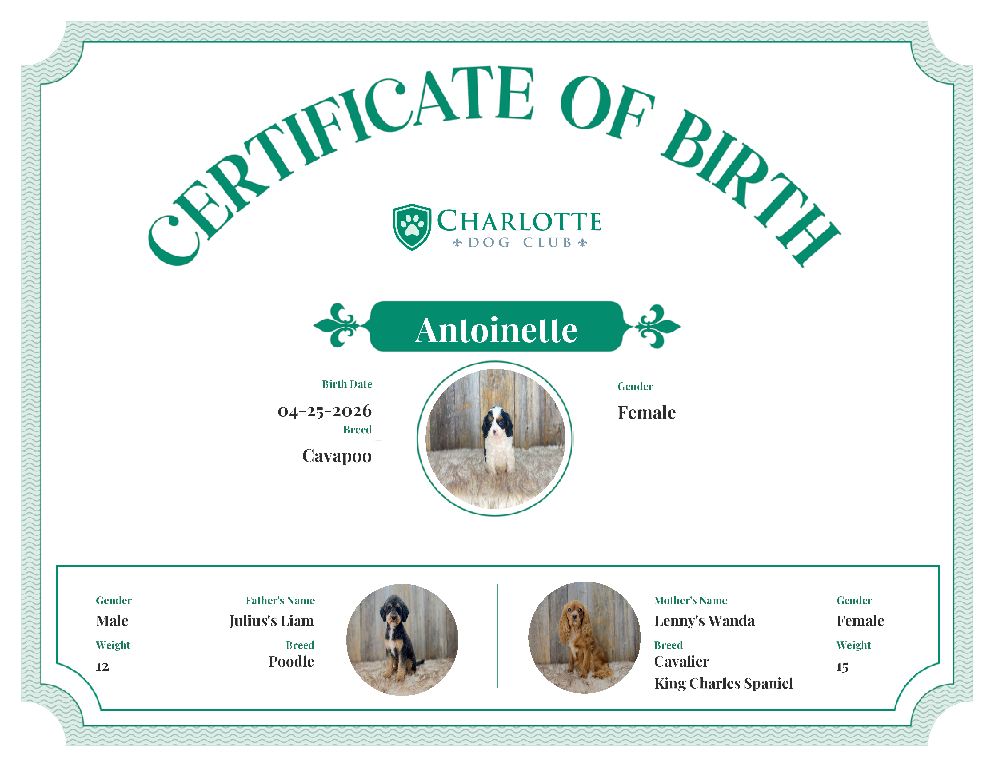Antoinette's Birth Certificate