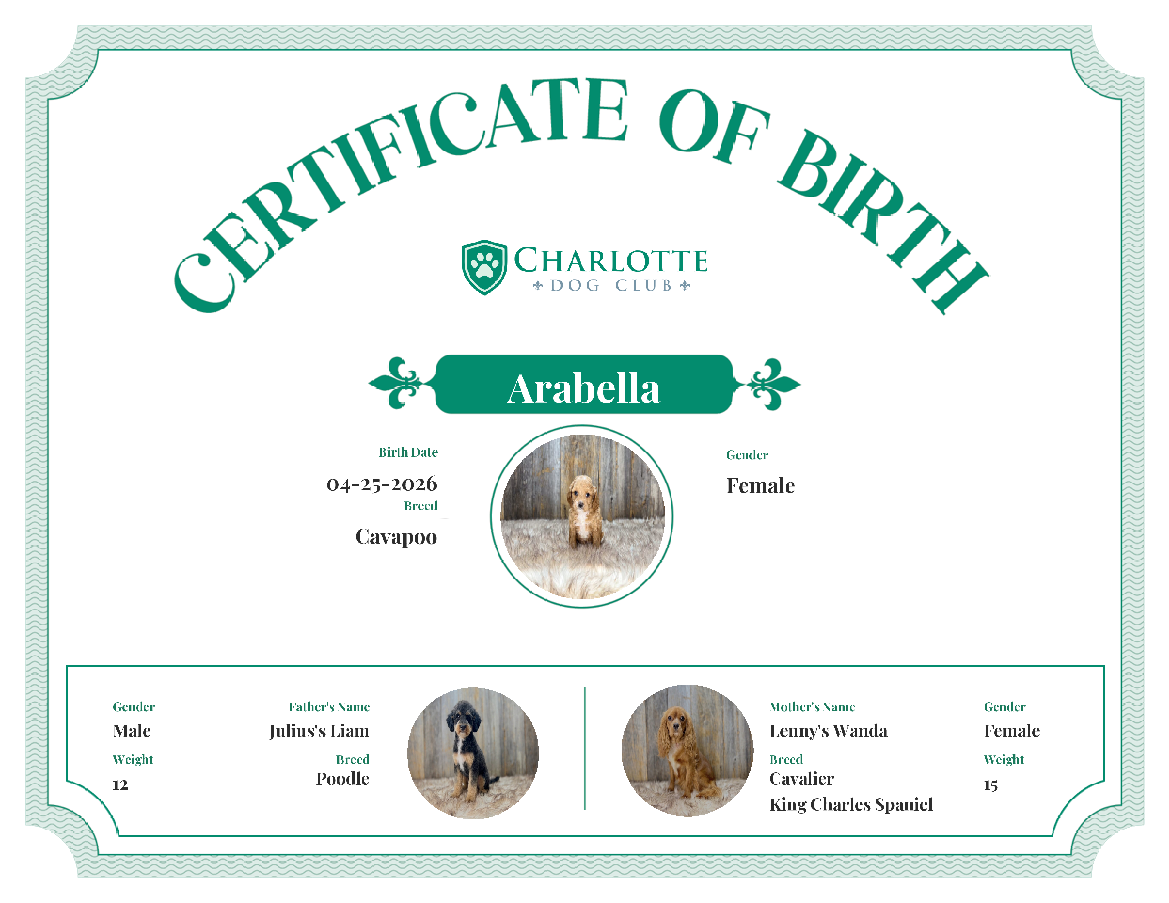 Arabella's Birth Certificate