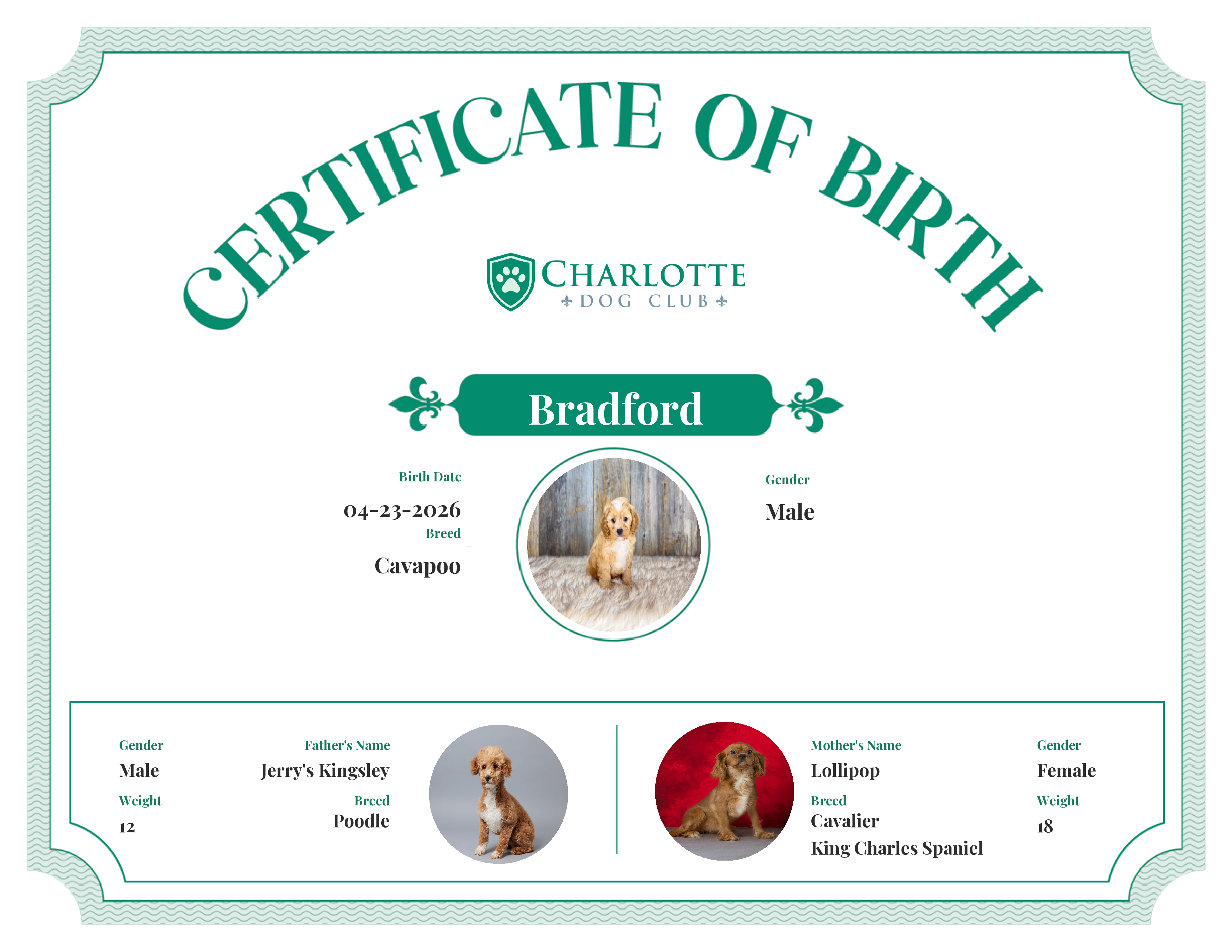 Bradford's Birth Certificate