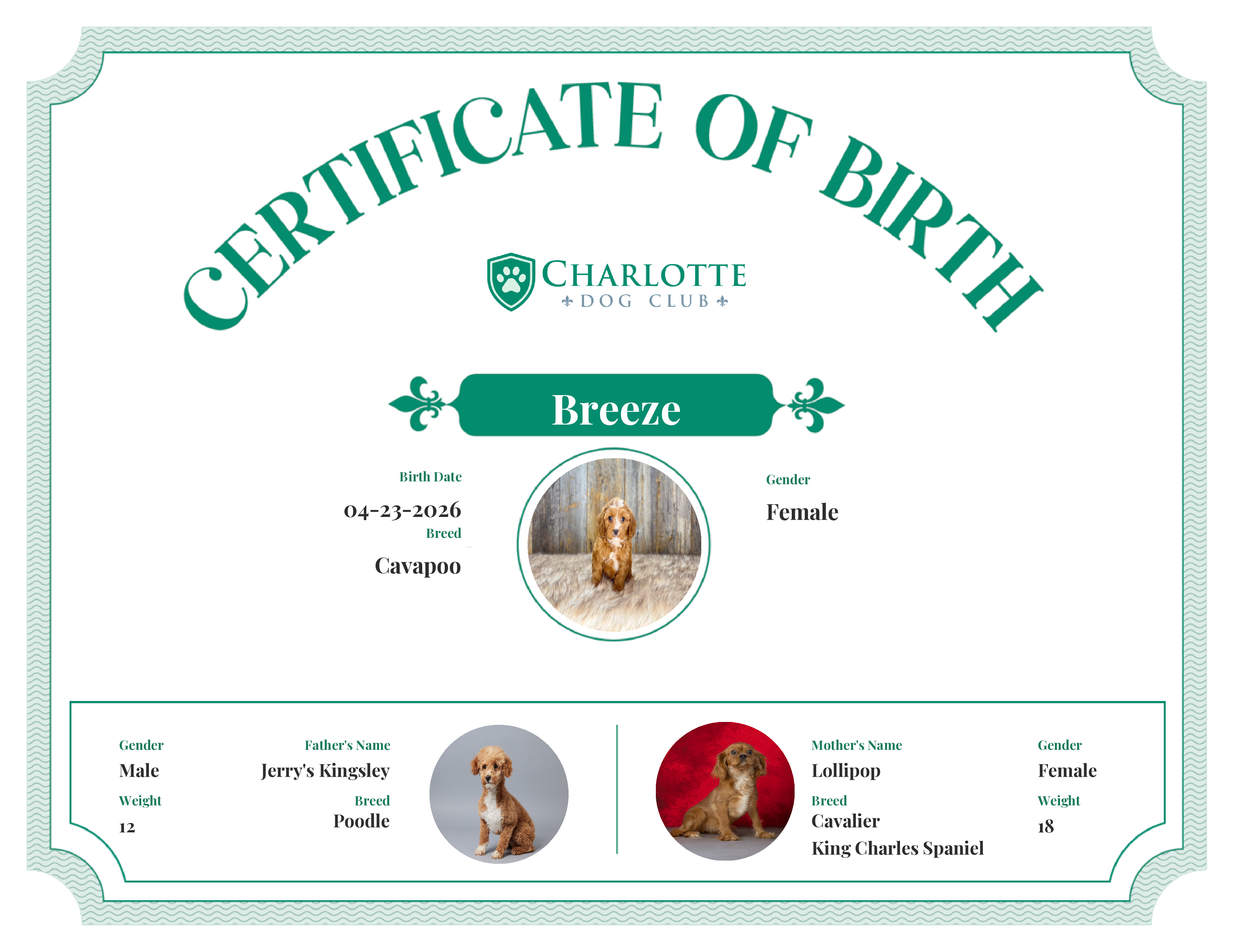 Breeze's Birth Certificate