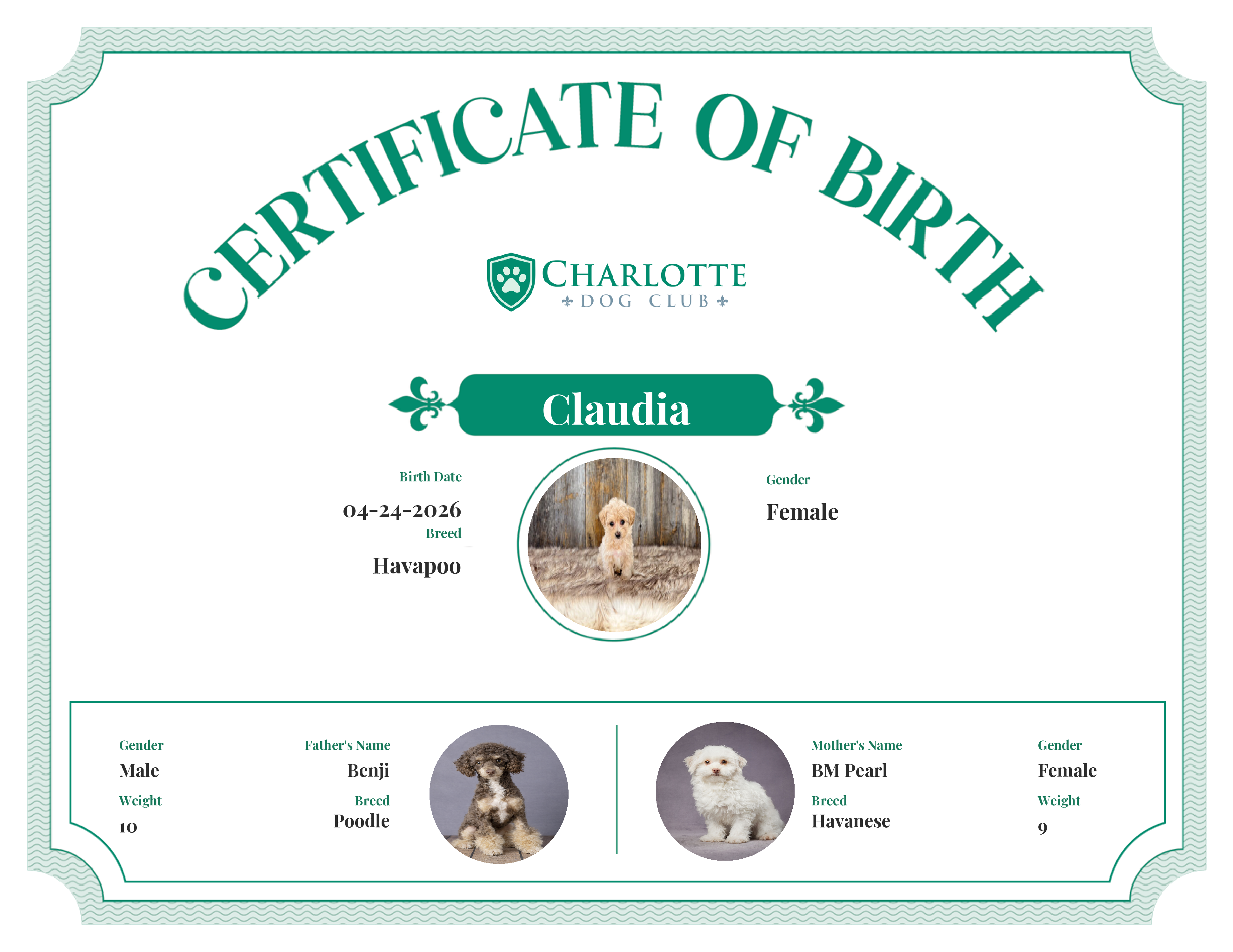 Claudia's Birth Certificate
