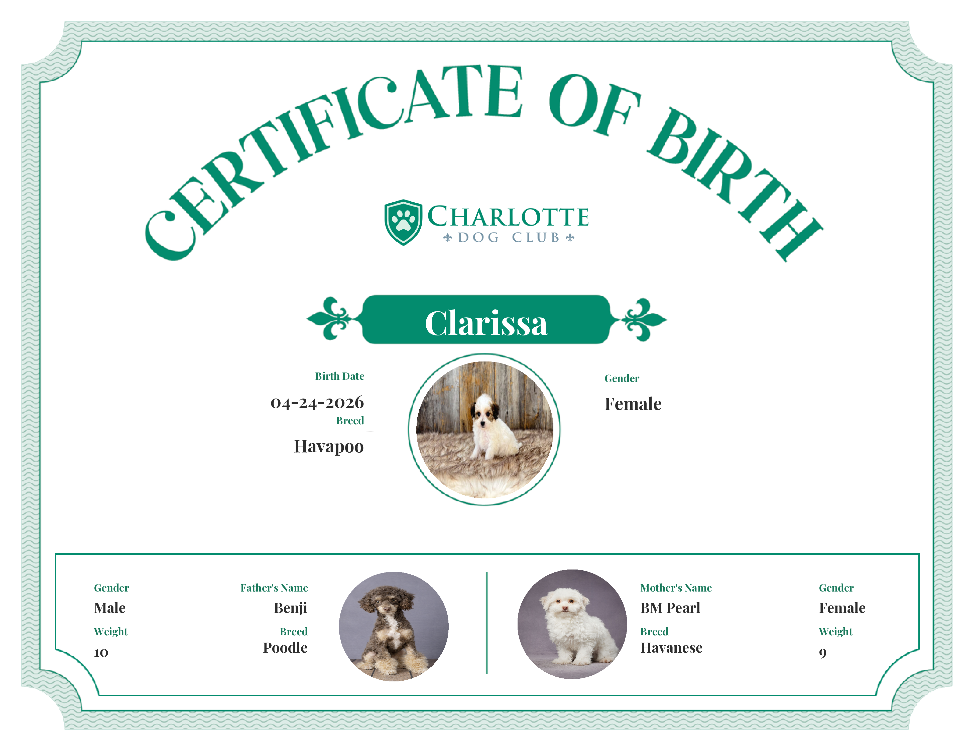 Clarissa's Birth Certificate