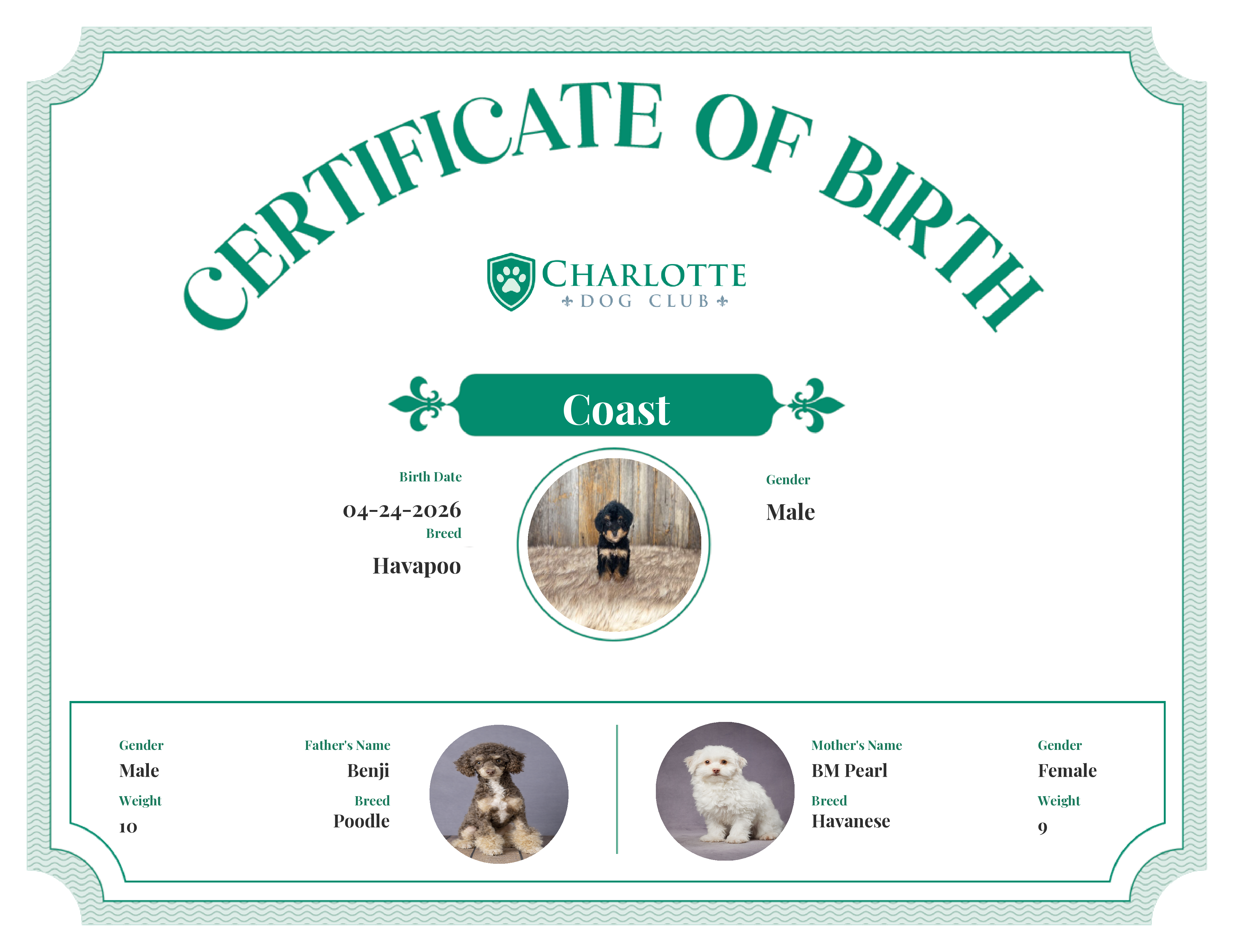 Coast's Birth Certificate