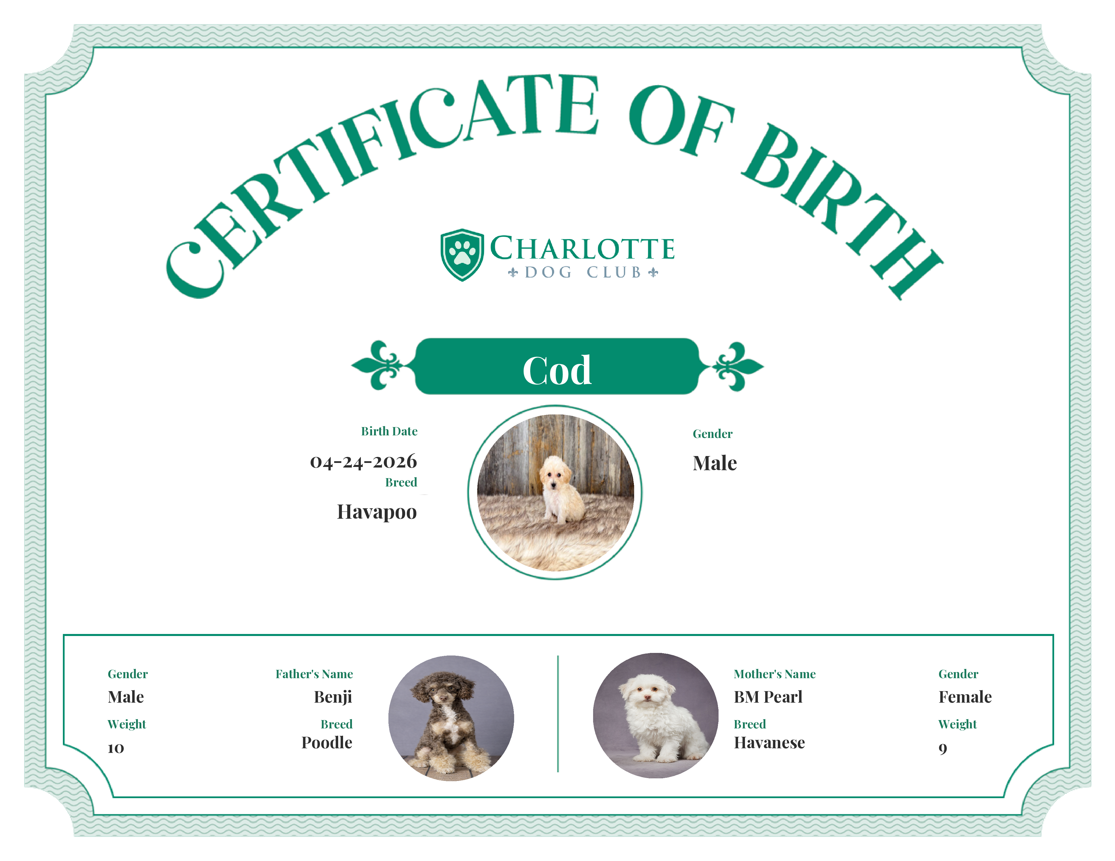 Cod's Birth Certificate
