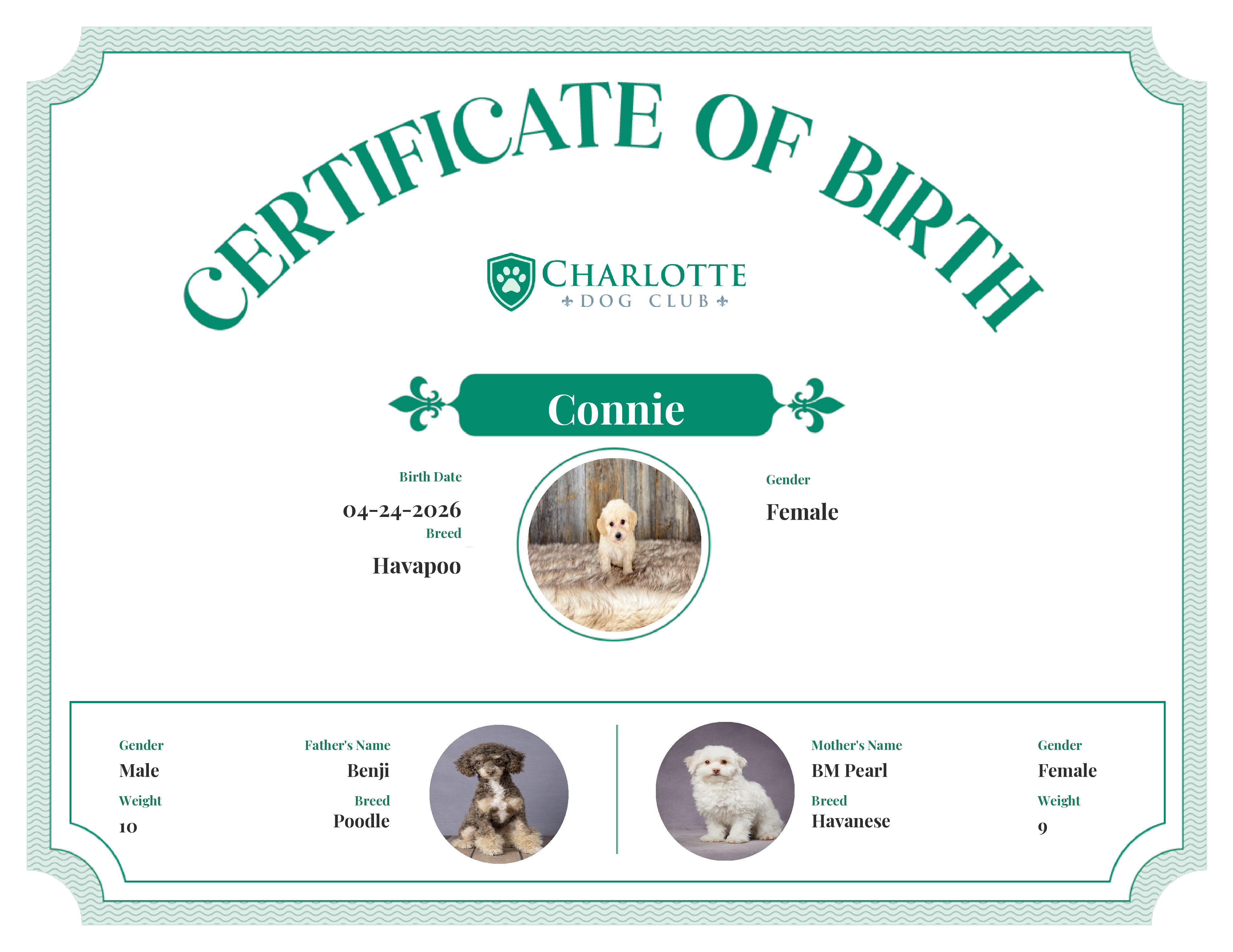 Connie's Birth Certificate