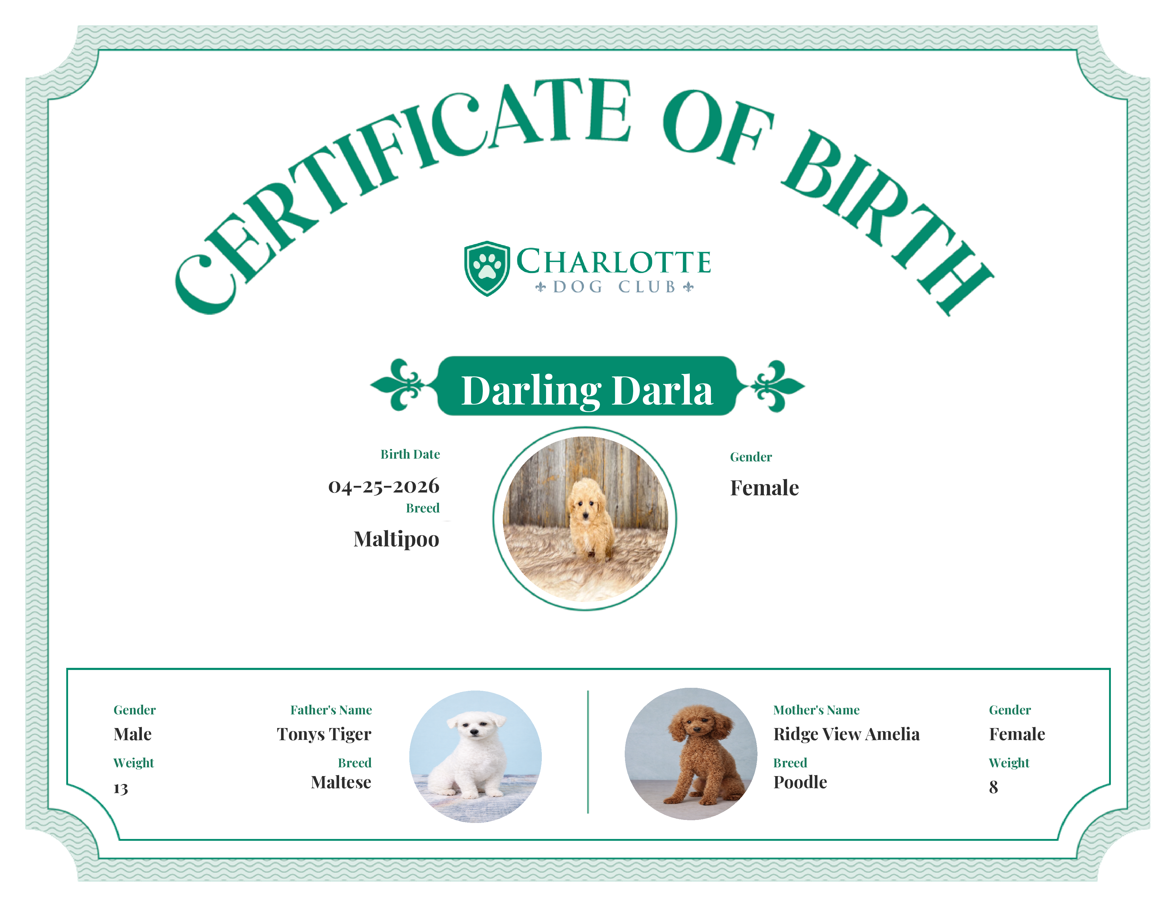 Darling Darla's Birth Certificate