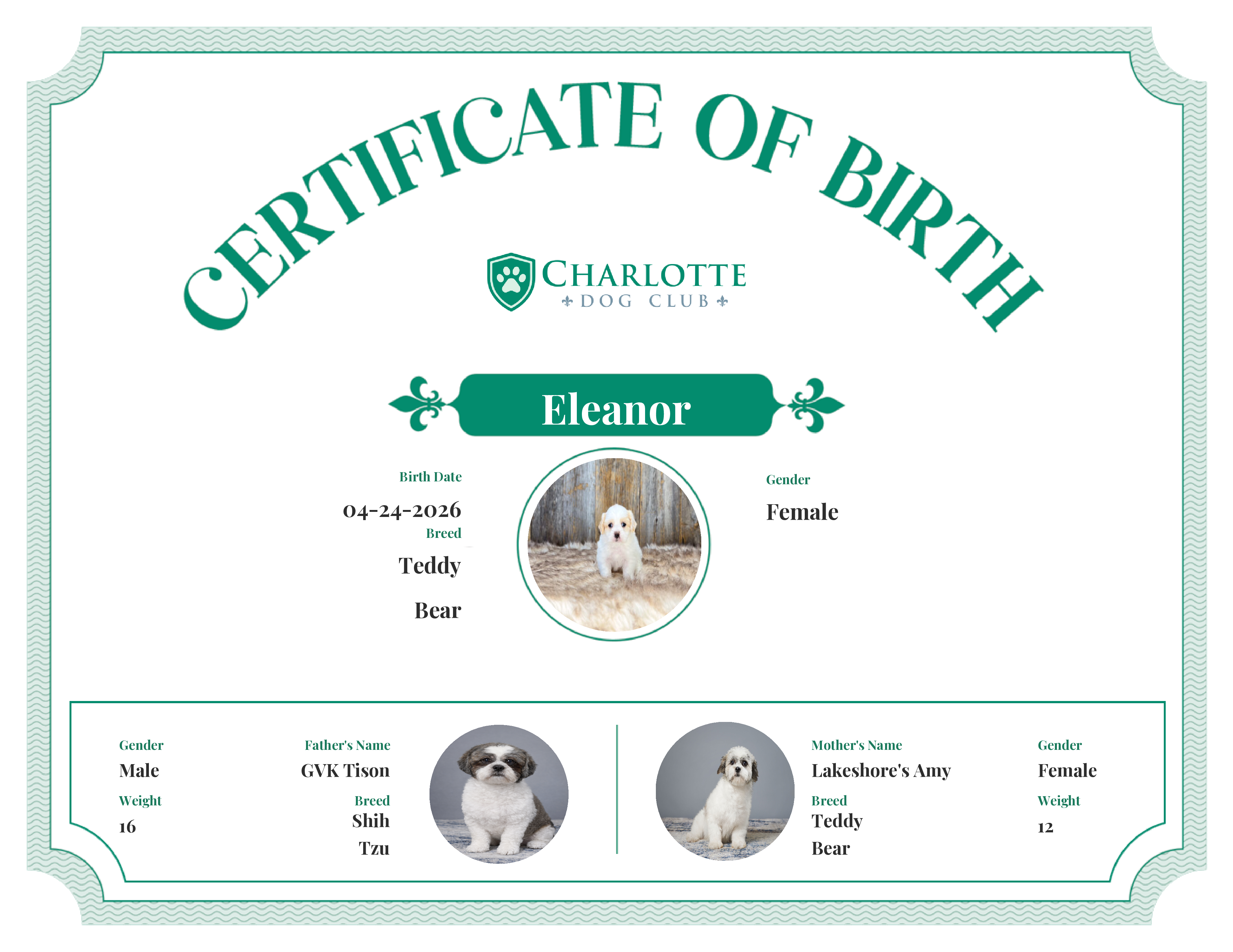 Eleanor's Birth Certificate