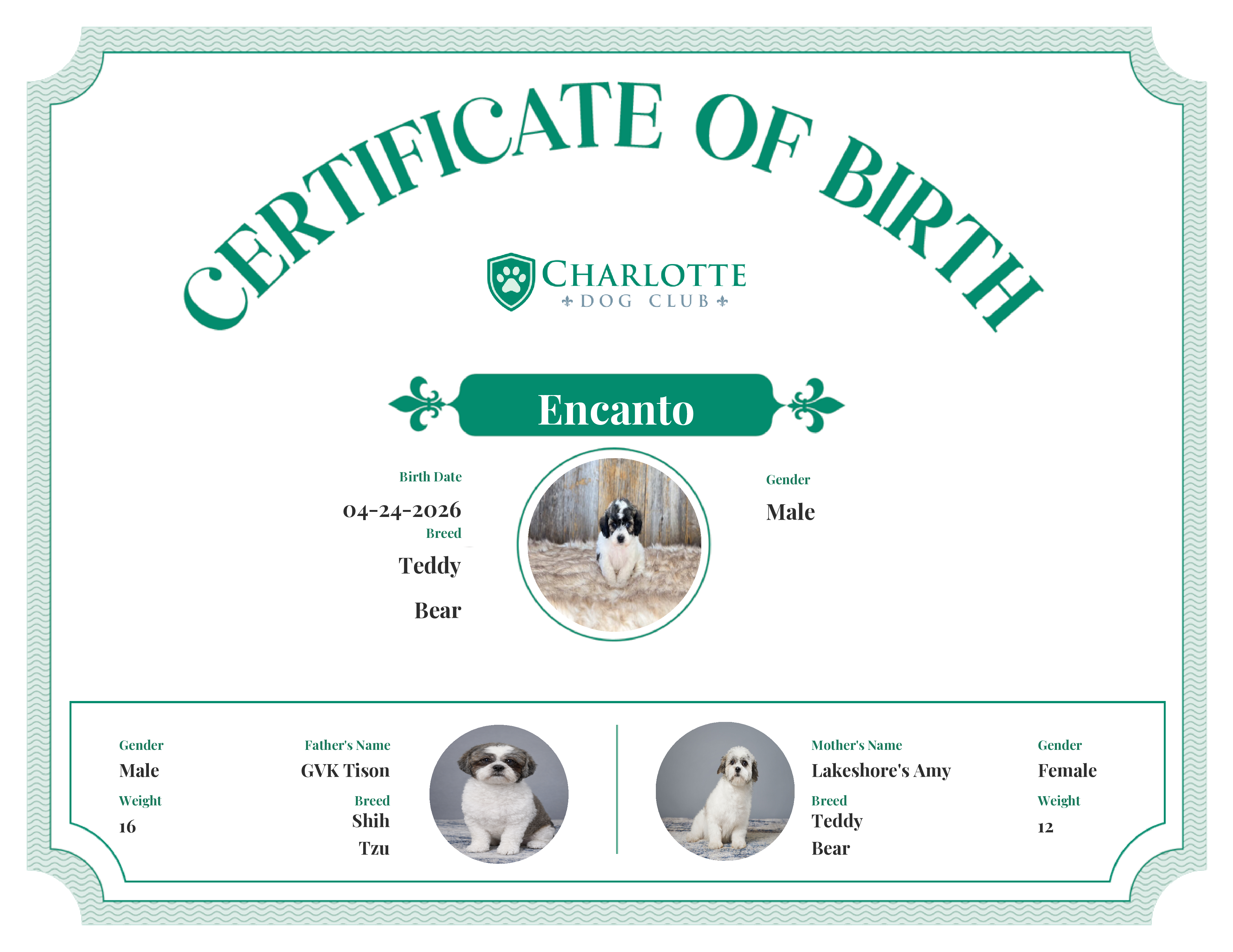 Encanto's Birth Certificate