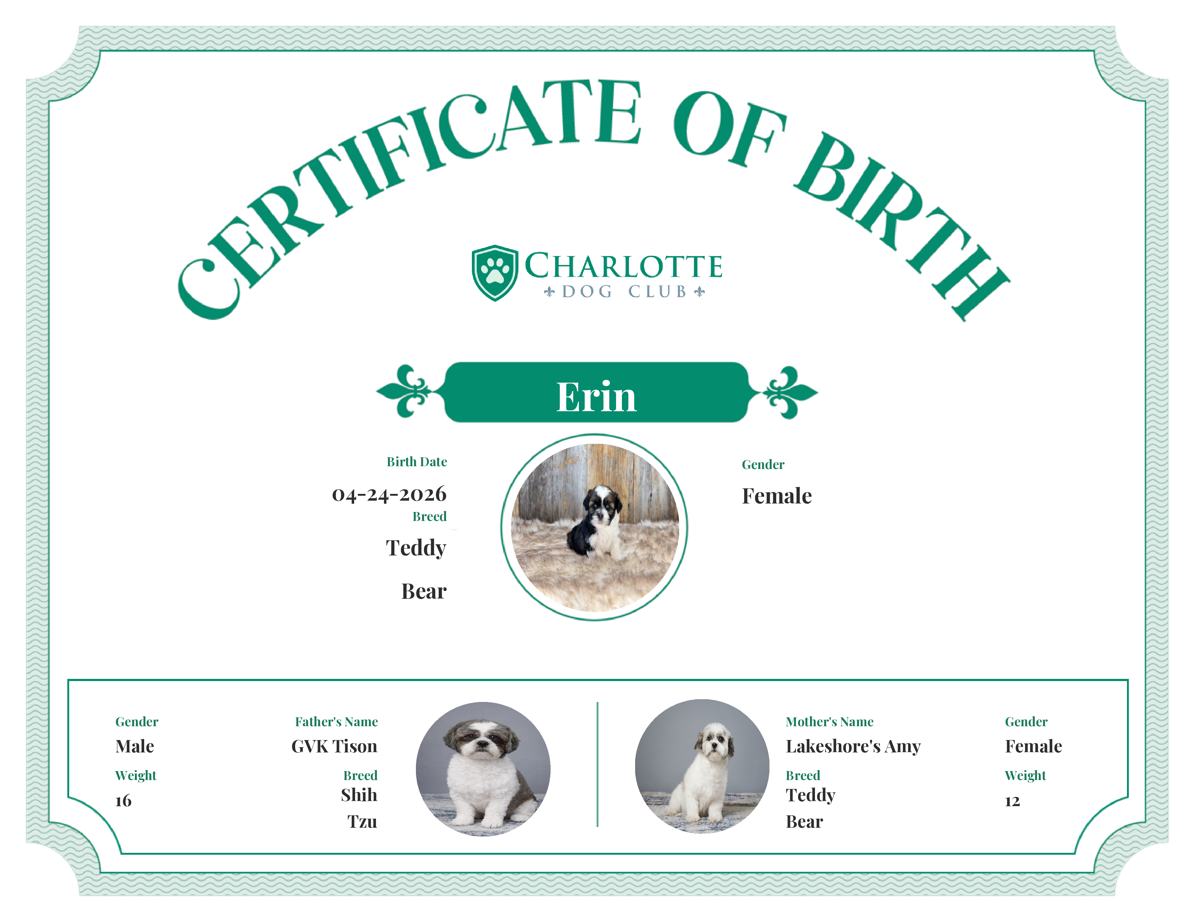 Erin's Birth Certificate