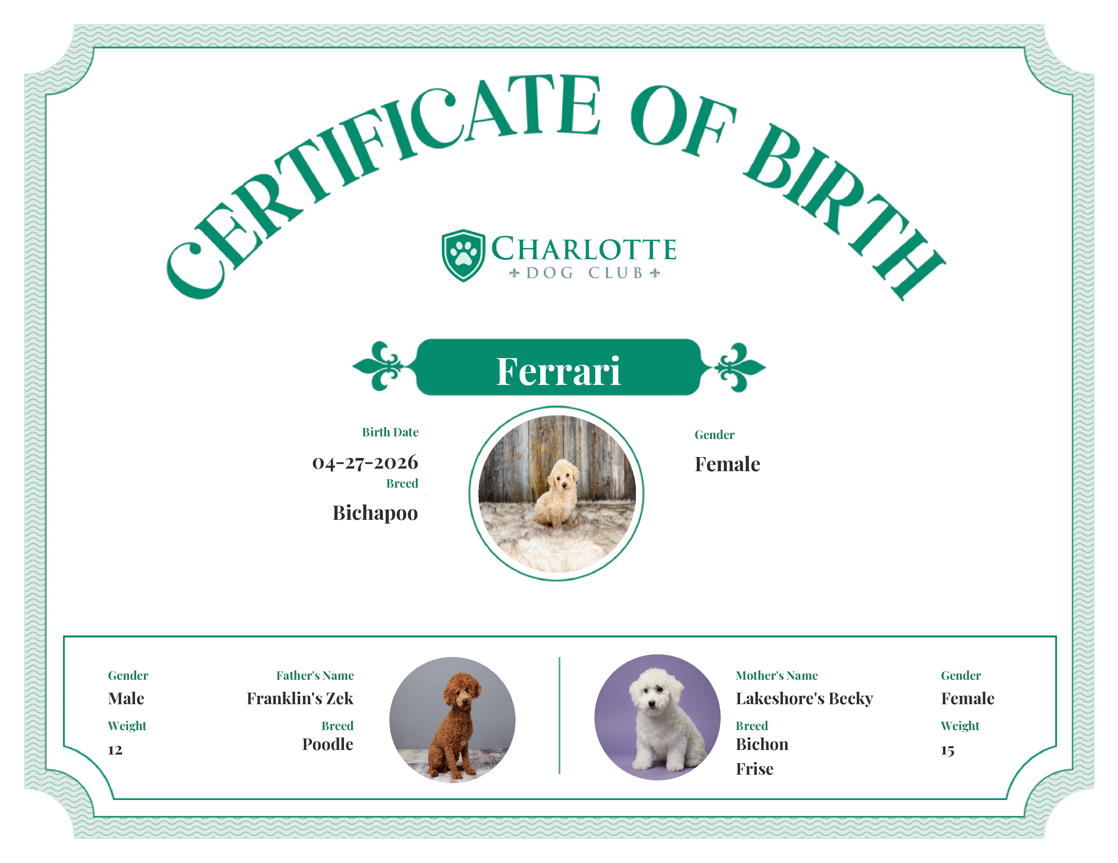 Ferrari's Birth Certificate