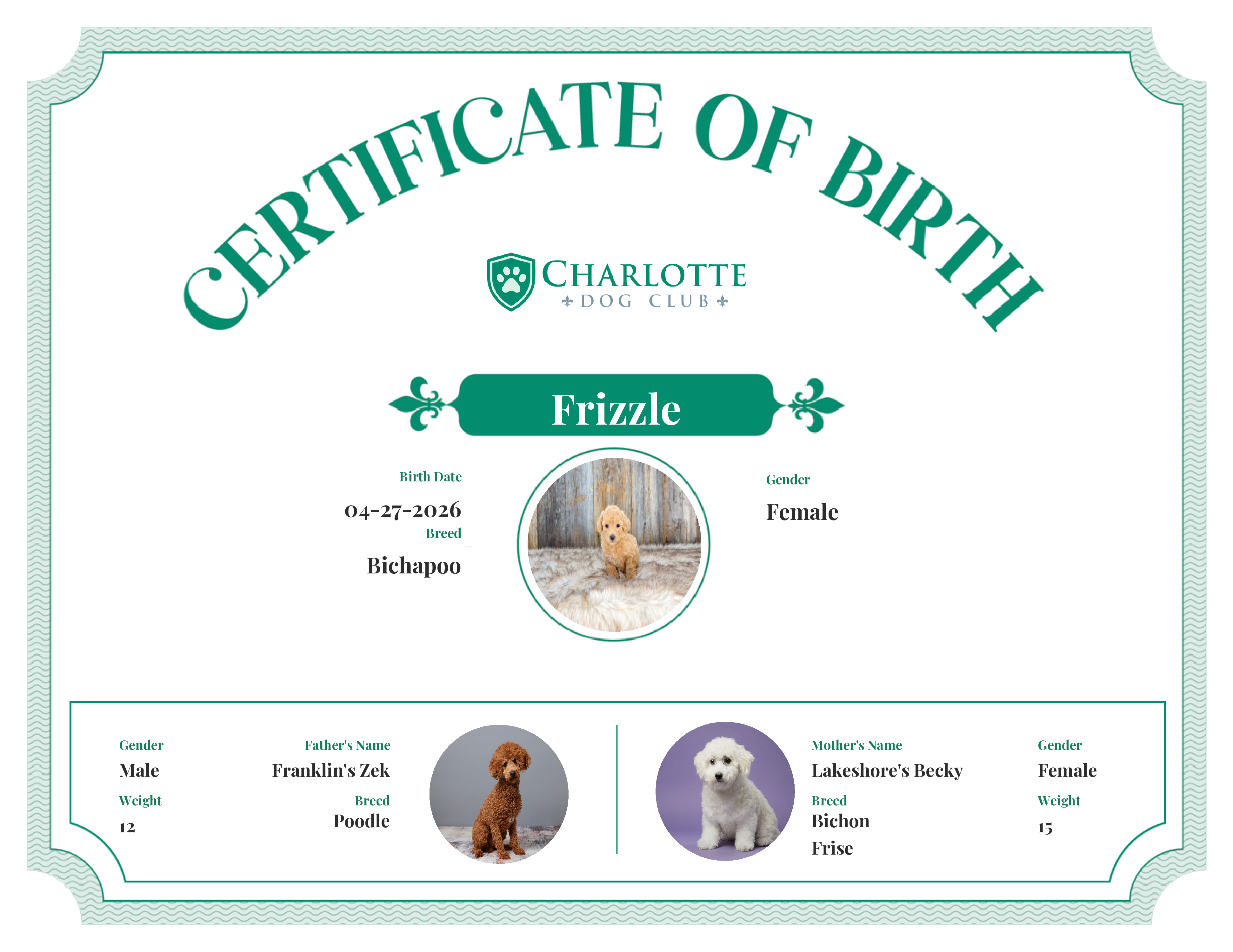 Frizzle's Birth Certificate