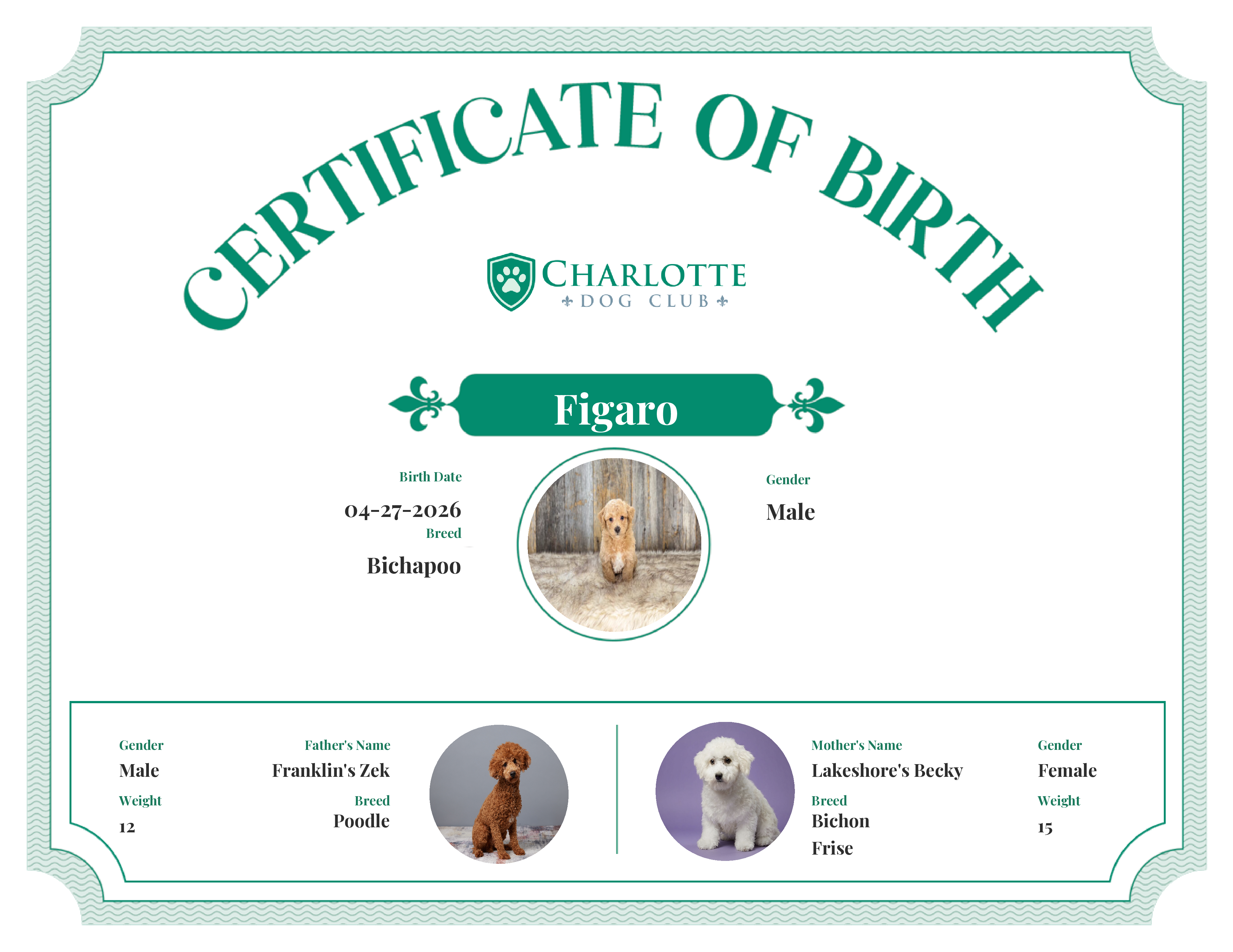 Figaro's Birth Certificate
