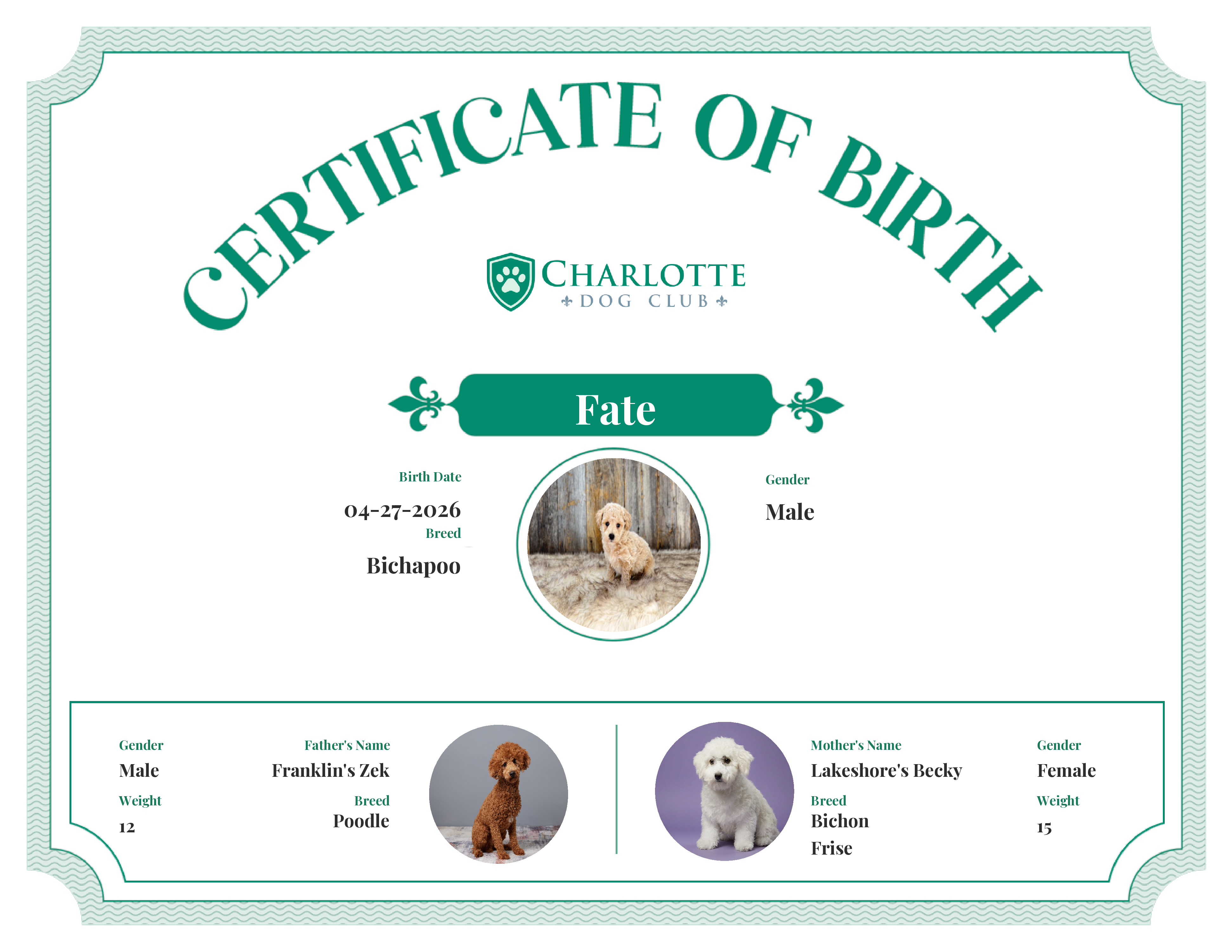 Fate's Birth Certificate