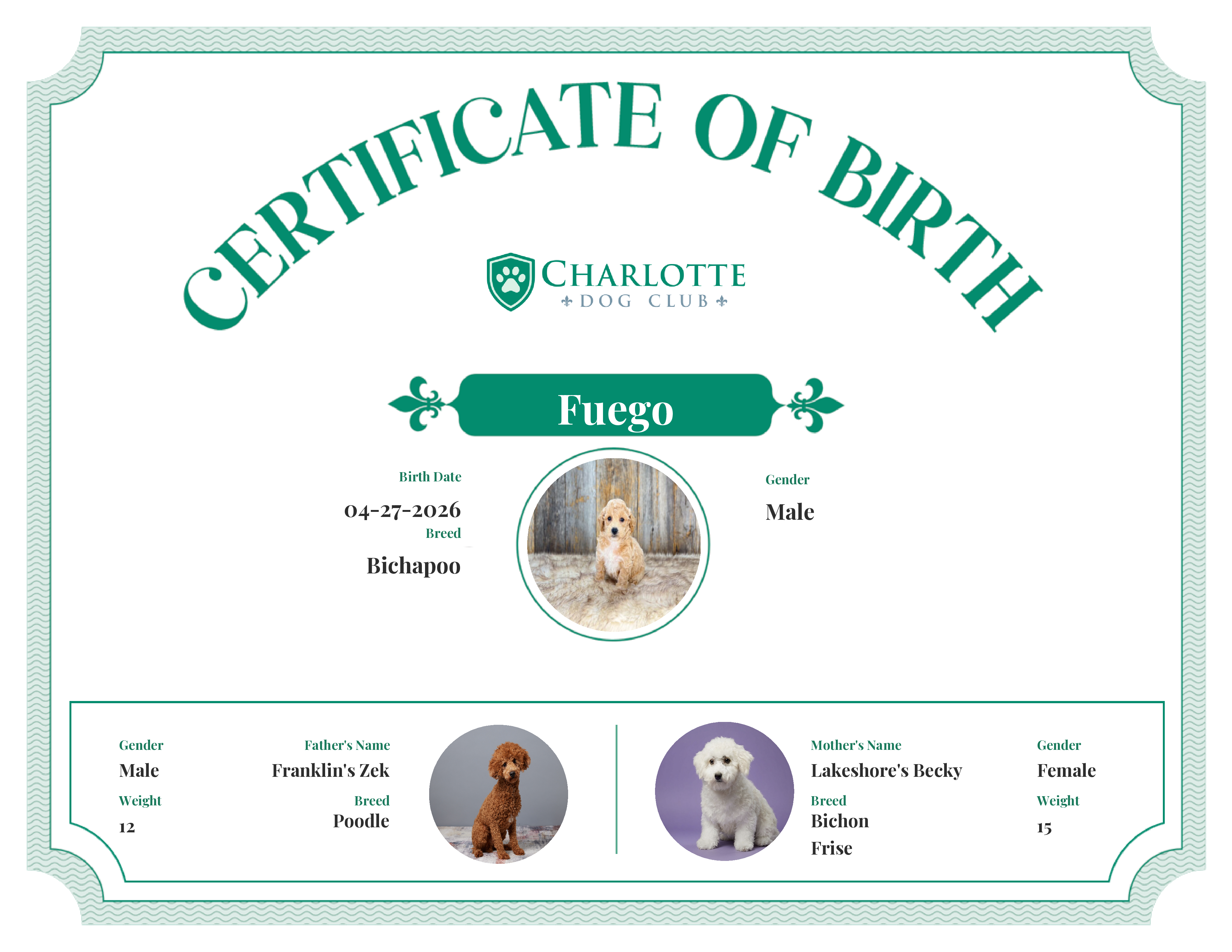 Fuego's Birth Certificate