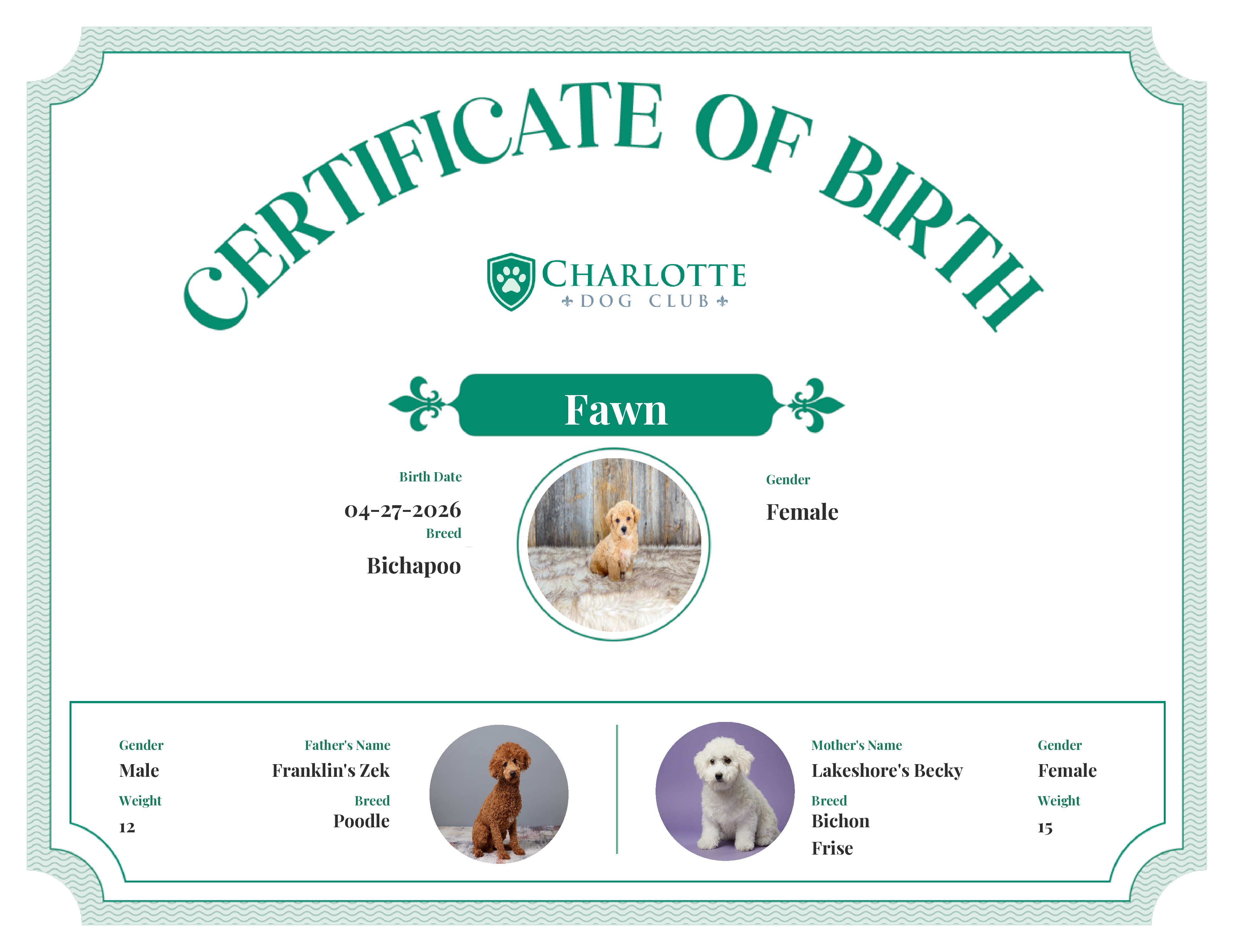 Fawn's Birth Certificate