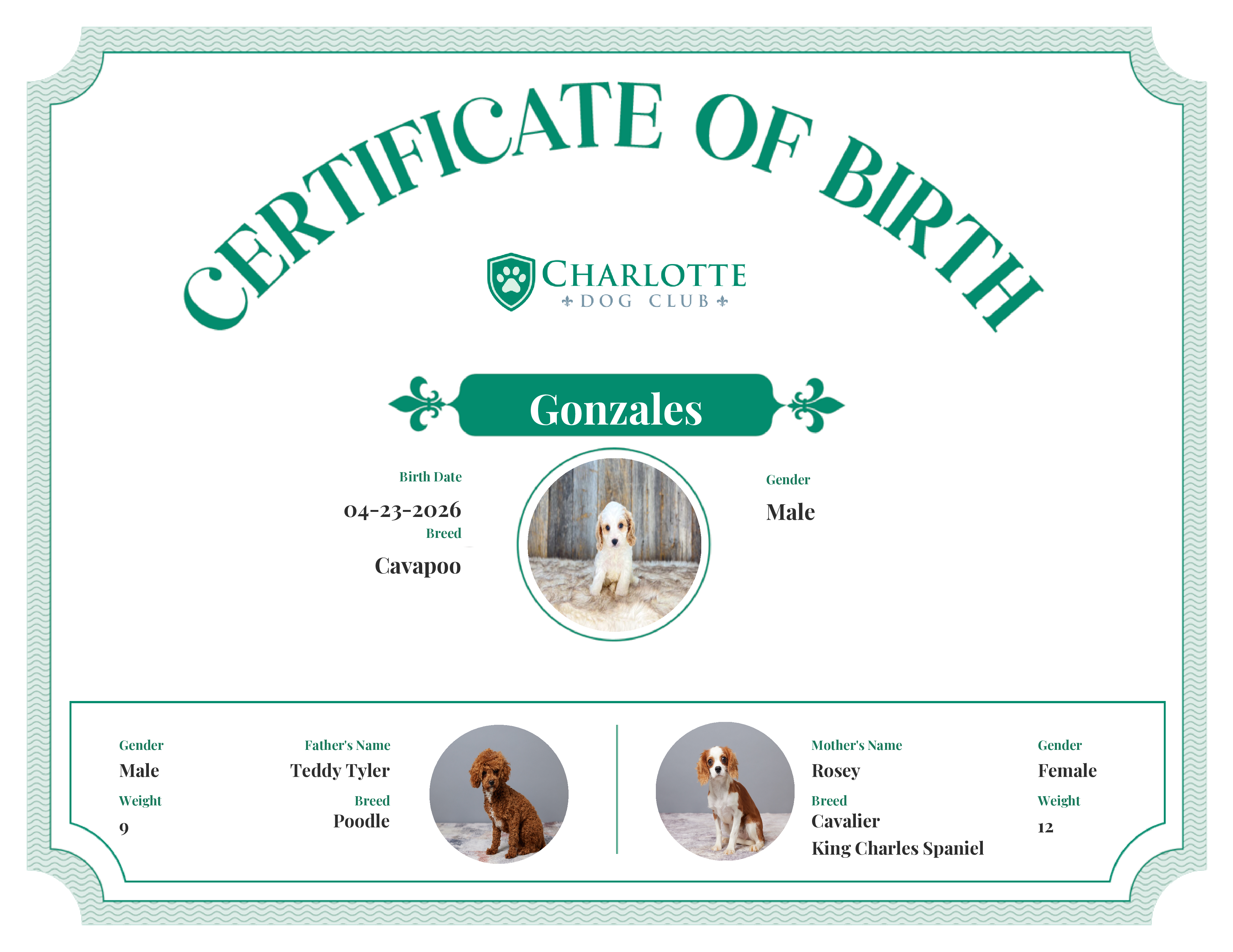 Gonzales's Birth Certificate