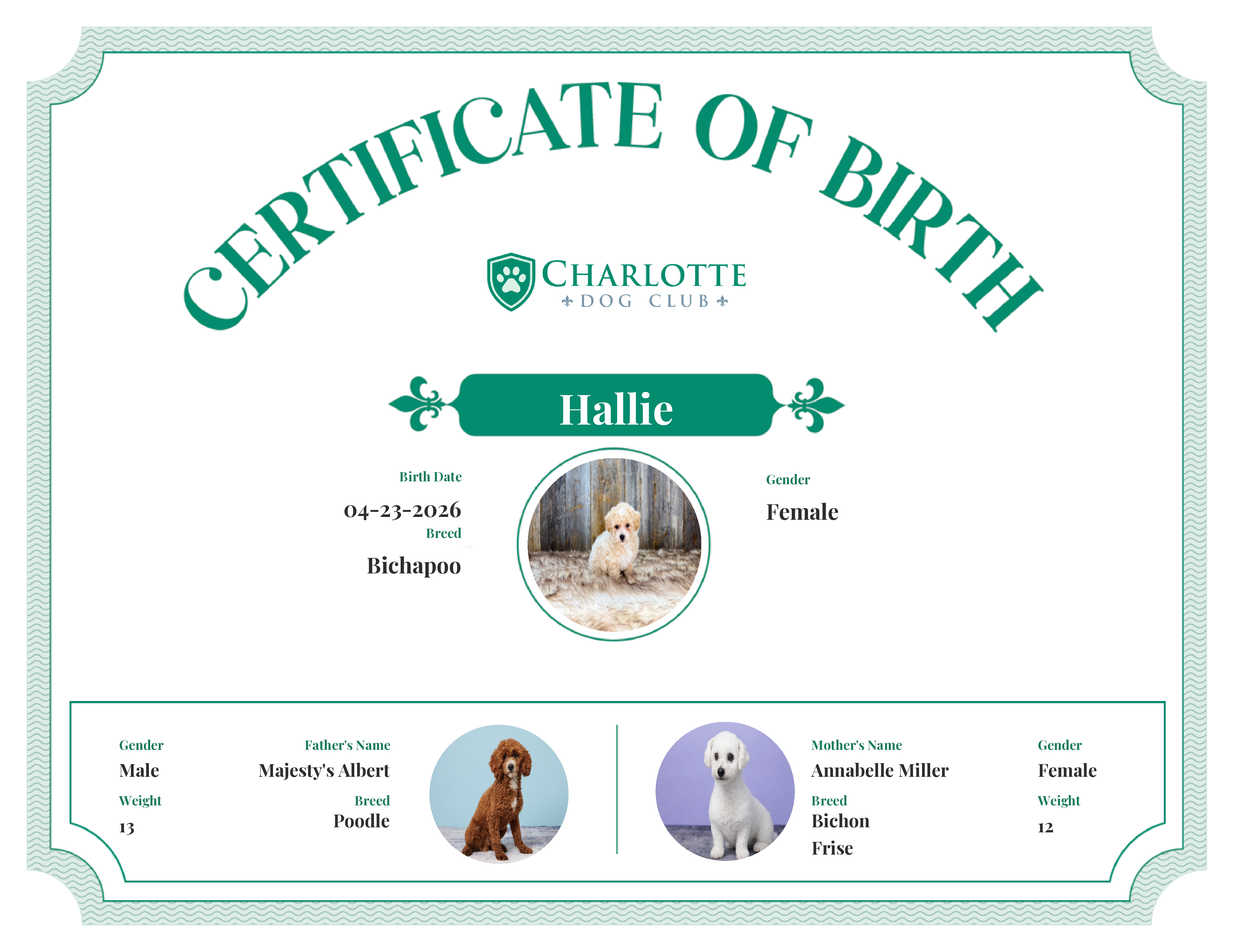 Hallie's Birth Certificate
