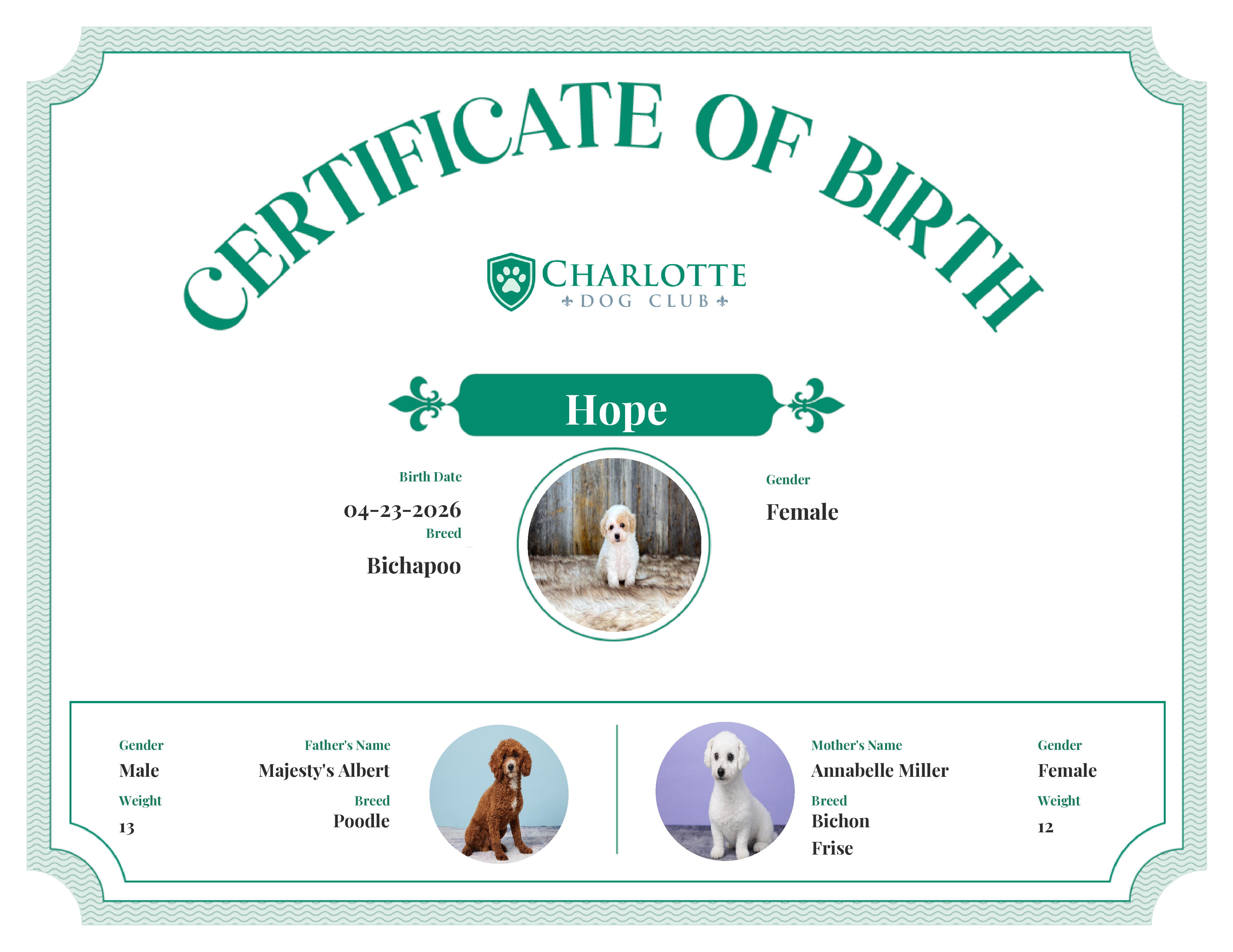 Hope's Birth Certificate
