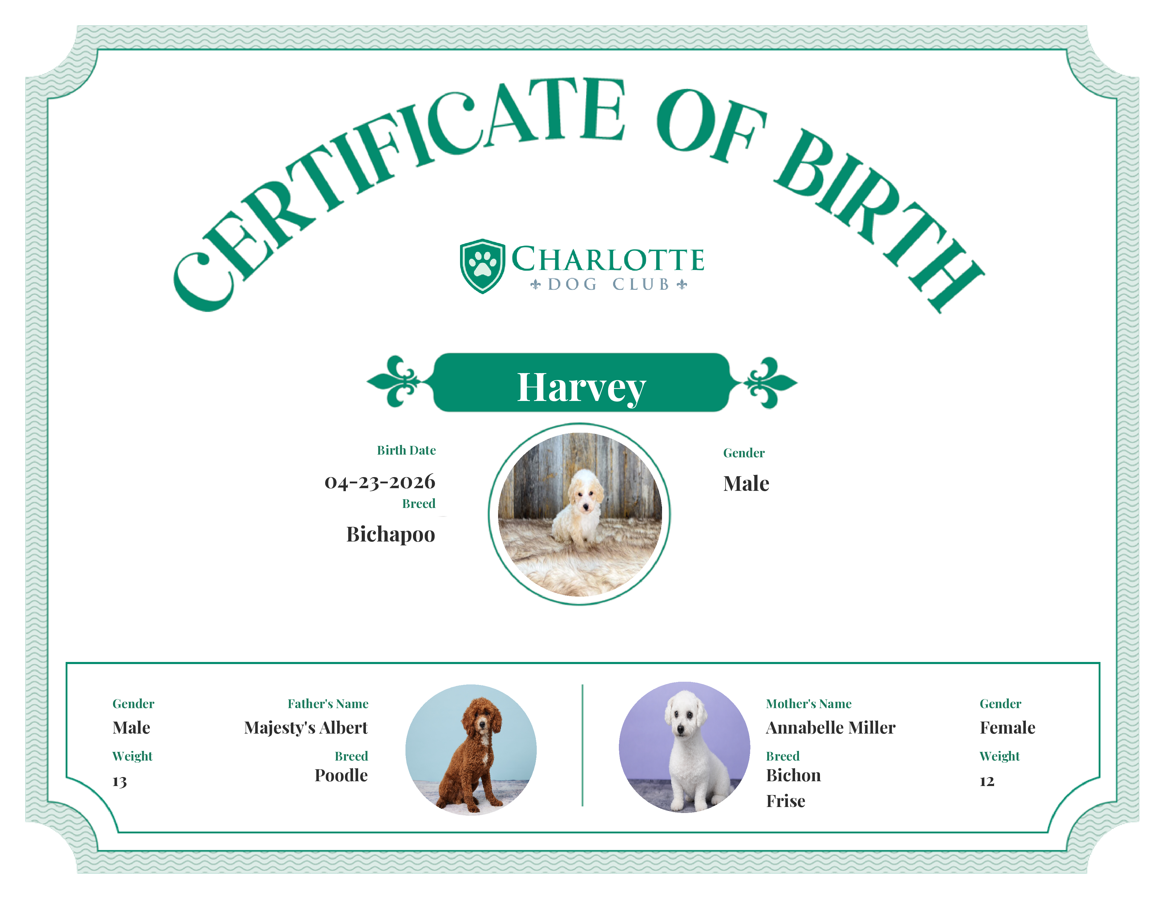 Harvey's Birth Certificate