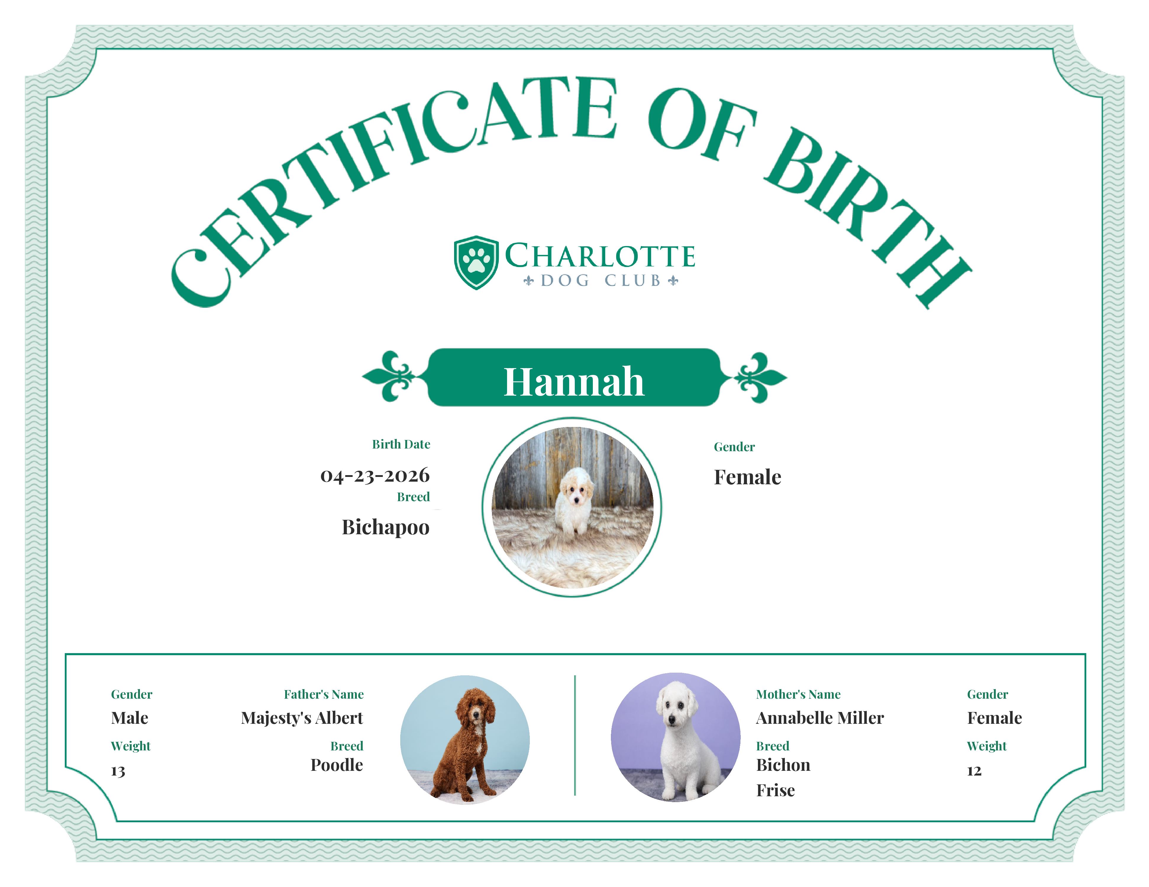 Hannah's Birth Certificate