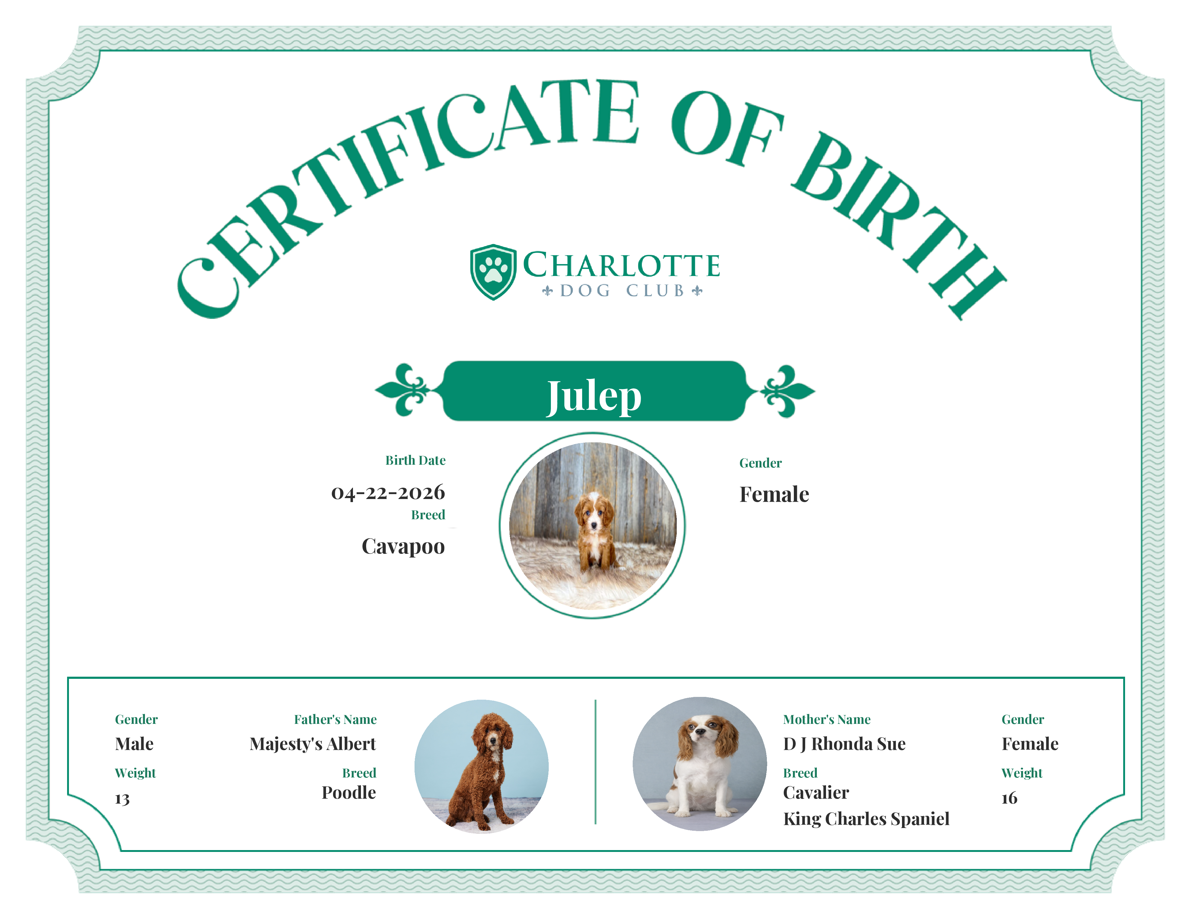 Julep's Birth Certificate
