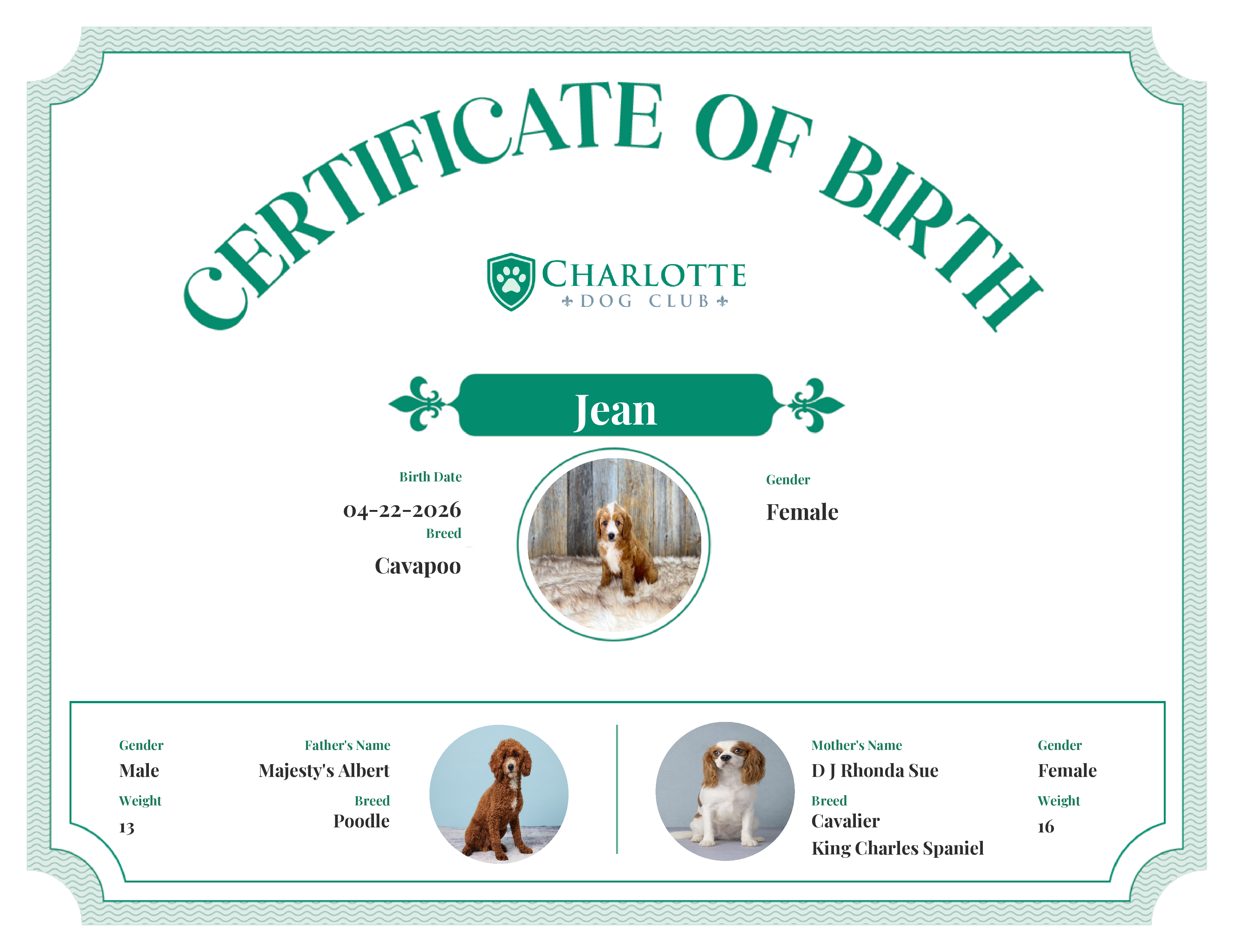 Jean's Birth Certificate