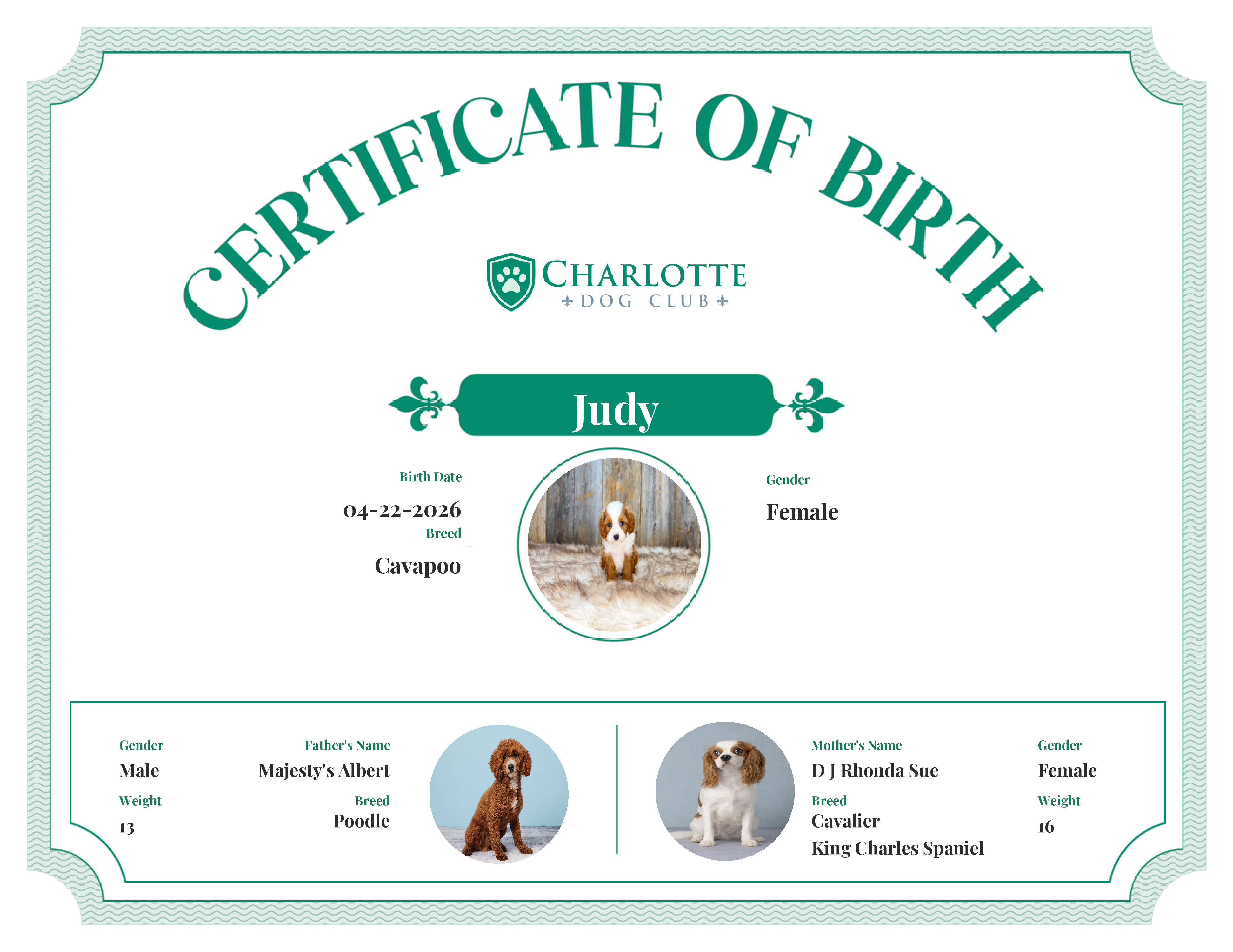 Judy's Birth Certificate